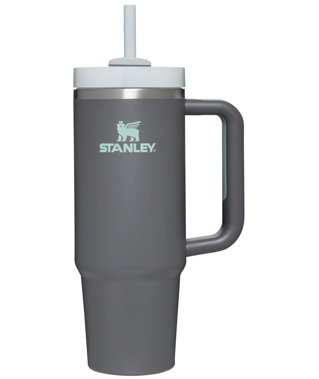 Stanley Quencher 30-fl oz Stainless Steel Insulated Tumbler in the