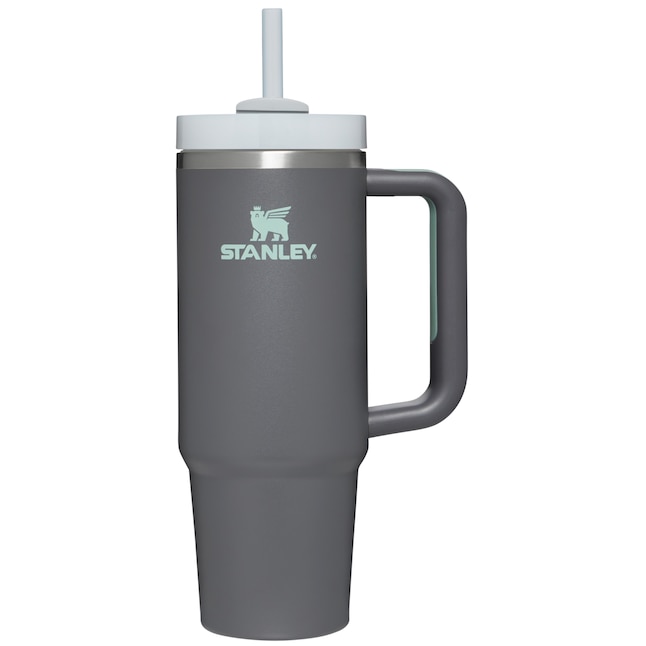 Stanley Quencher 30-fl oz Stainless Steel Insulated Tumbler in the Water  Bottles & Mugs department at