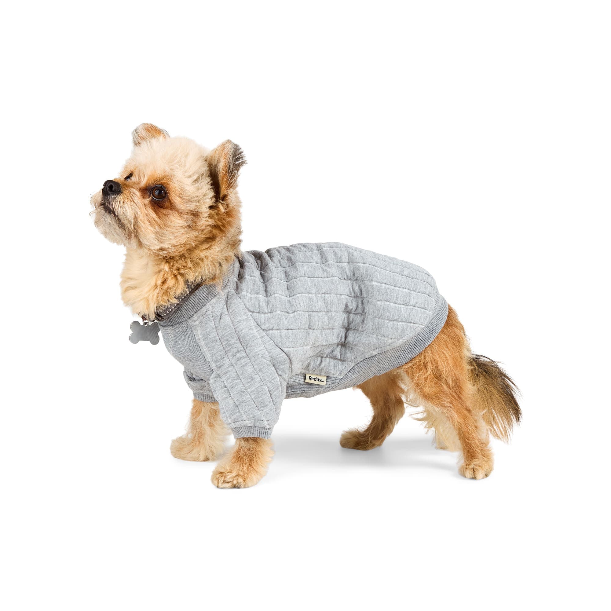Reddy 23P515A-S Dog-Clothing-Acc - View #3