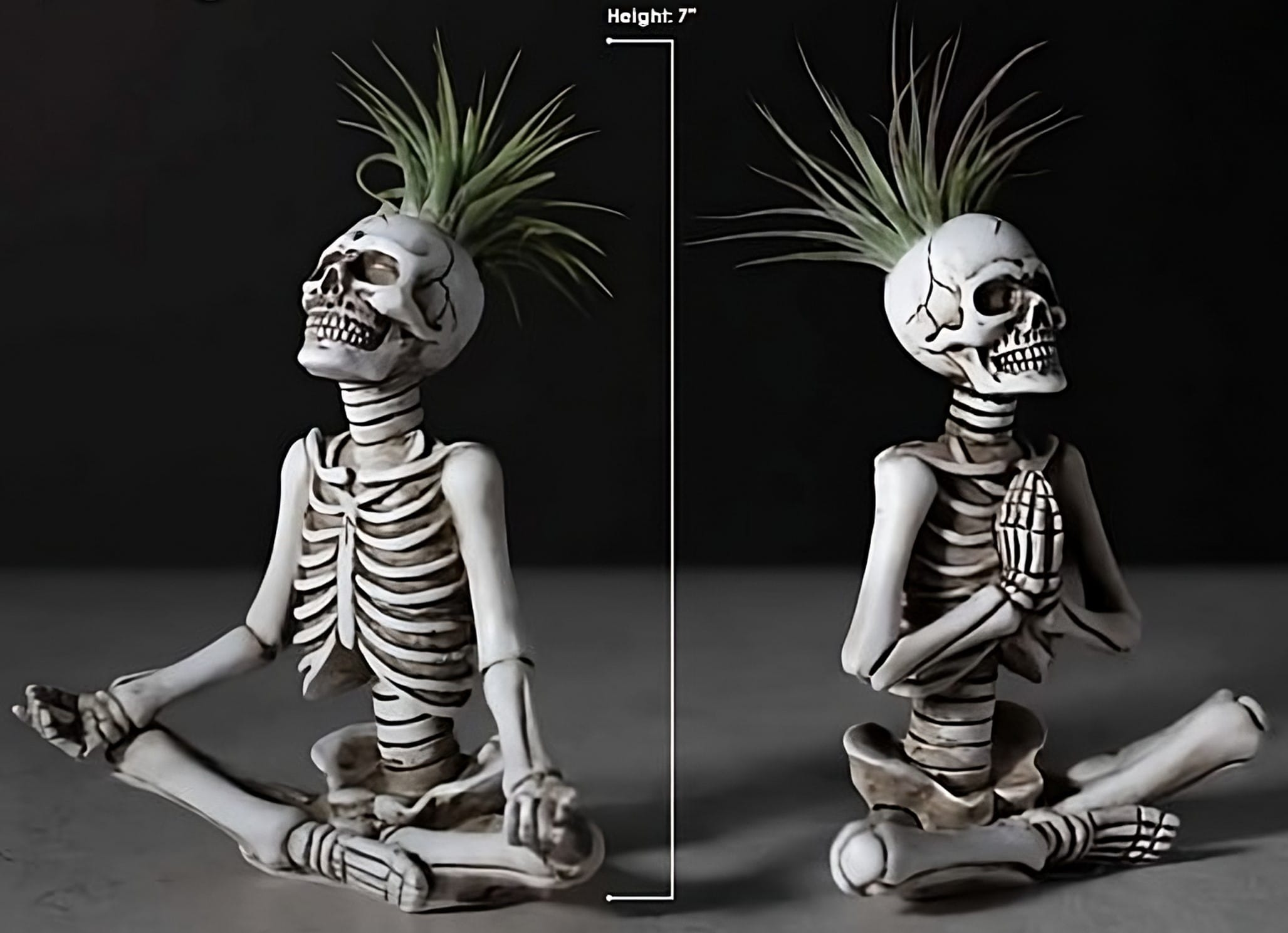 Yoga air outlet plant skeletons