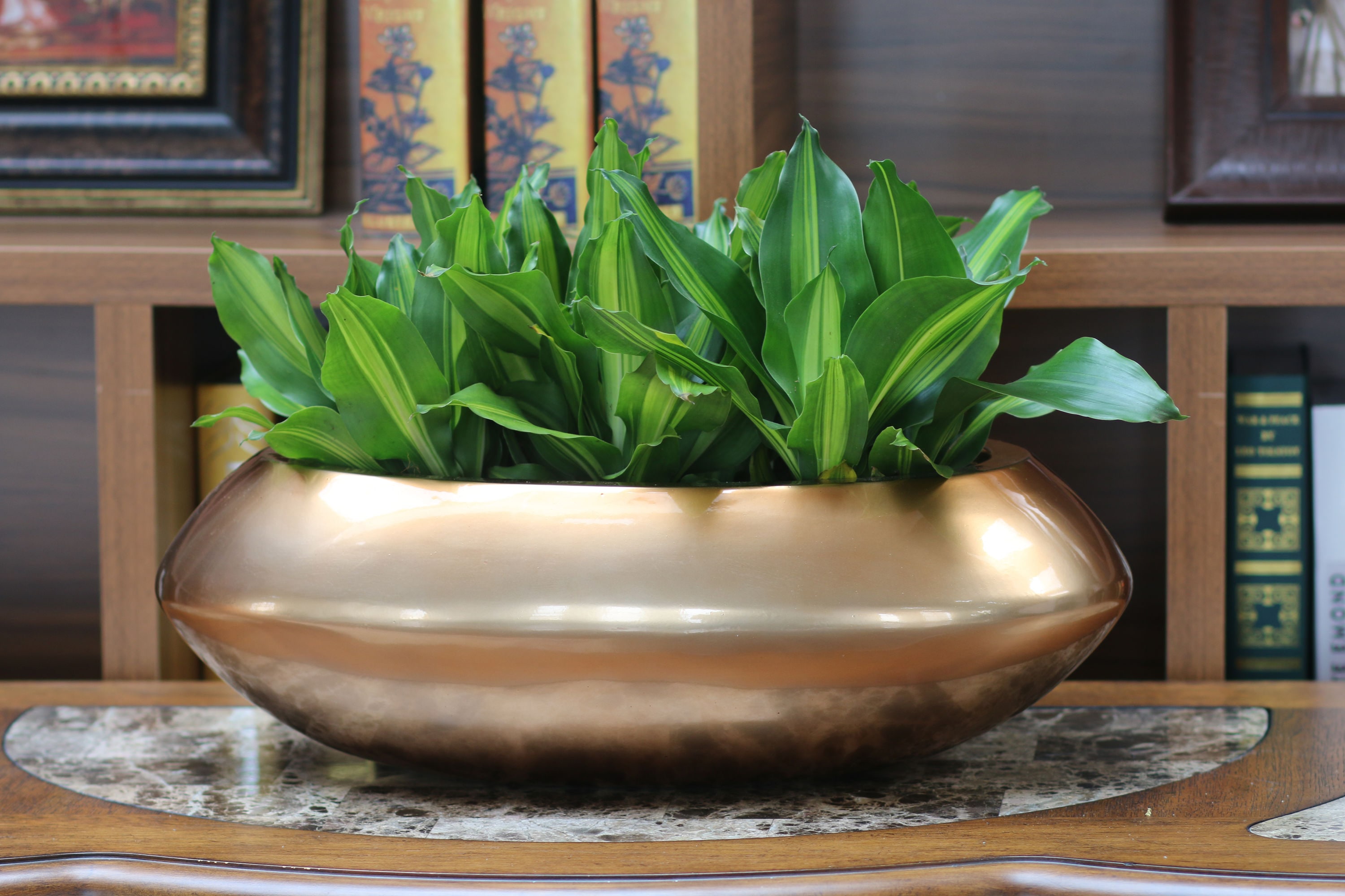 Vasesource SAFINA7SCO Planter-Window-Box - View #9