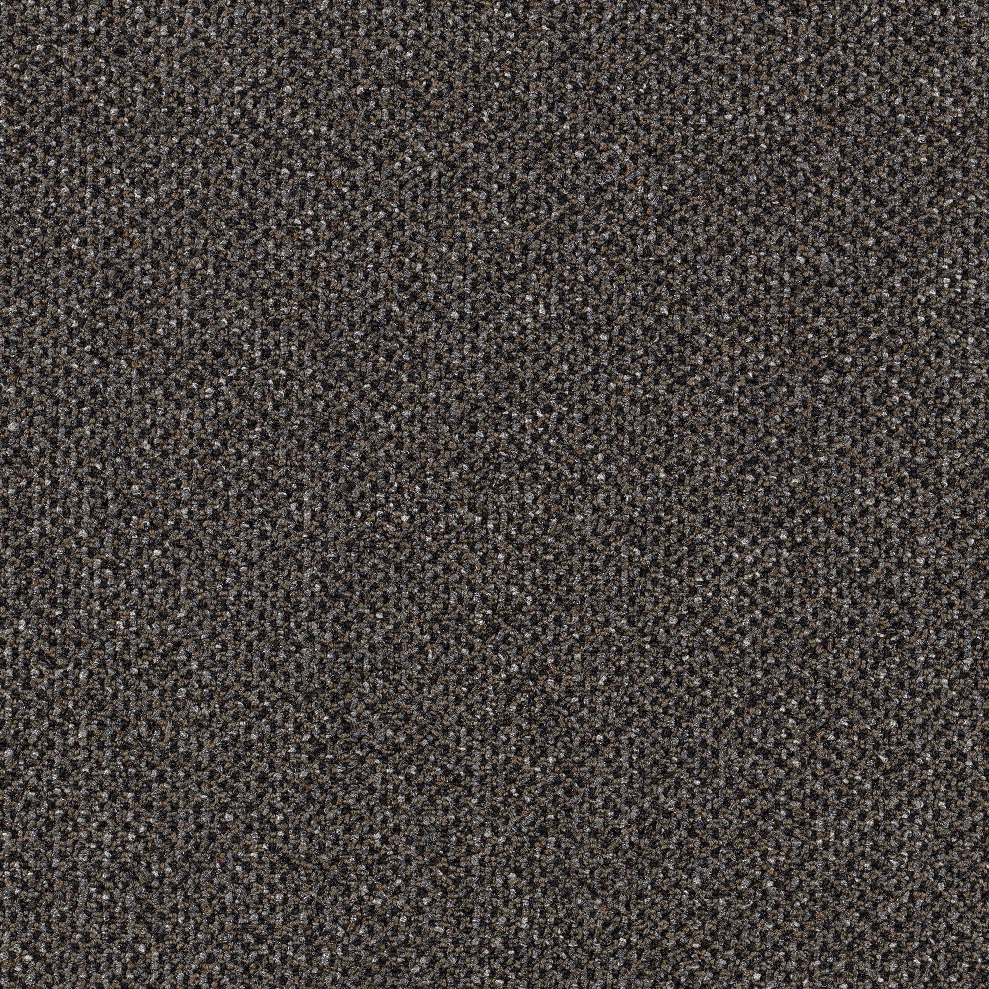Mohawk LC49-L005-0808 (Sample) Home and Office Exercise Room Influential Gray 22-oz sq yard Nylon Textured Indoor Carpet