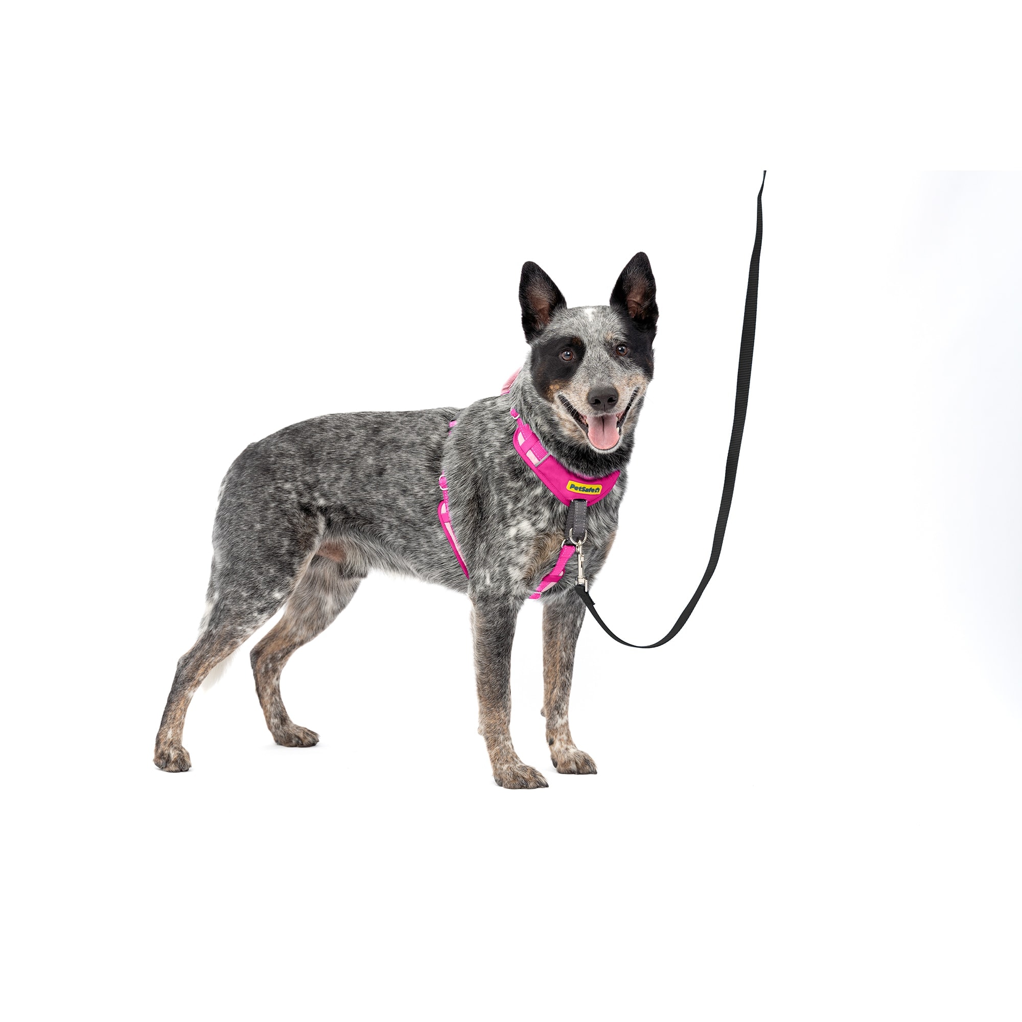 PetSafe  5 Points of Adjustment for Perfect Fit Easy Walk Comfort No-Pull Dog Harness Medium/Large Pink
