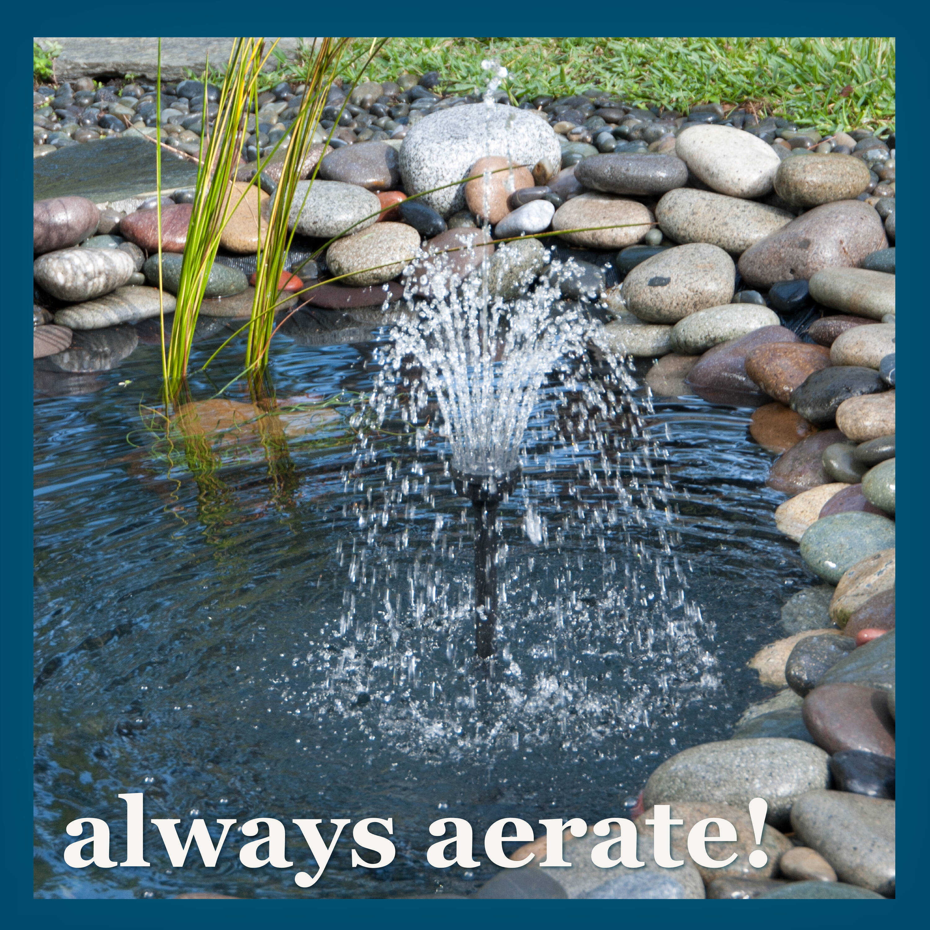 smartpond 96894 Pond-Cleaners - View #8