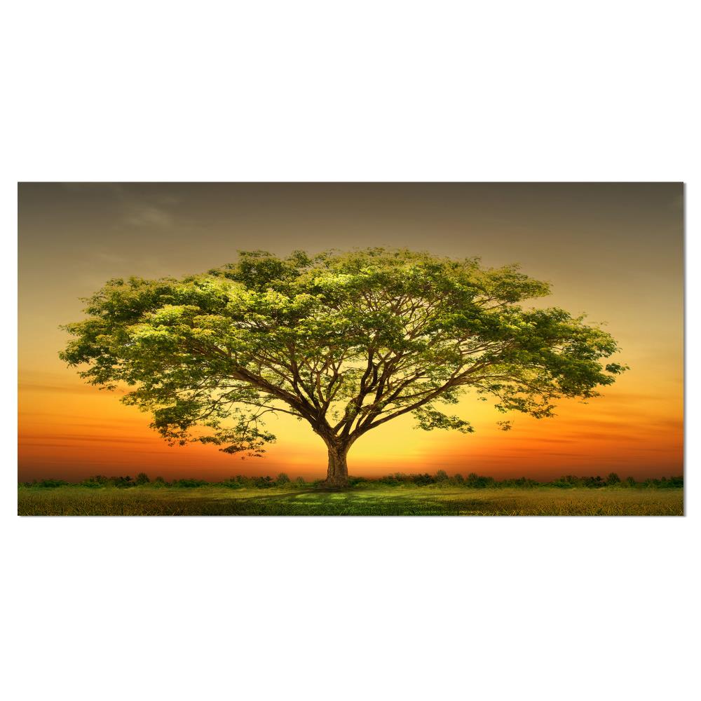 Designart PT14843-32-16 16-Inches H x 32-Inches W Landscape Canvas Print