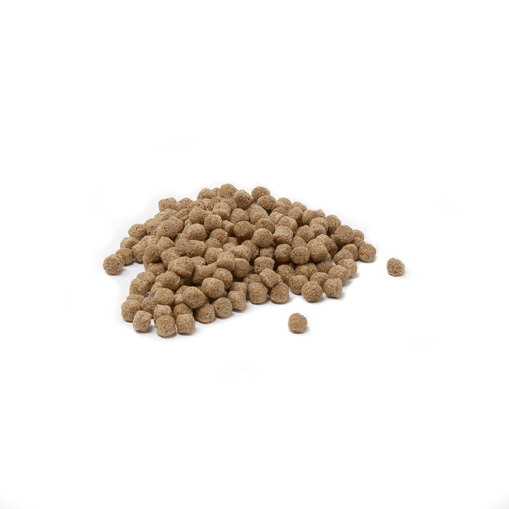 Beckett 7303310 Pond-Accessories - View #5
