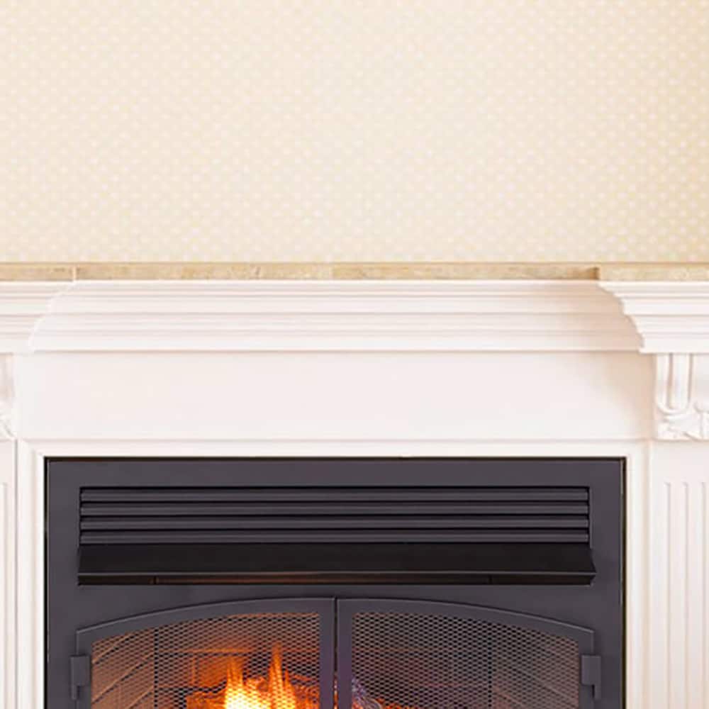 ProCom FBNSD400T-ZC Gas-Fireplace-Fireboxes - View #5