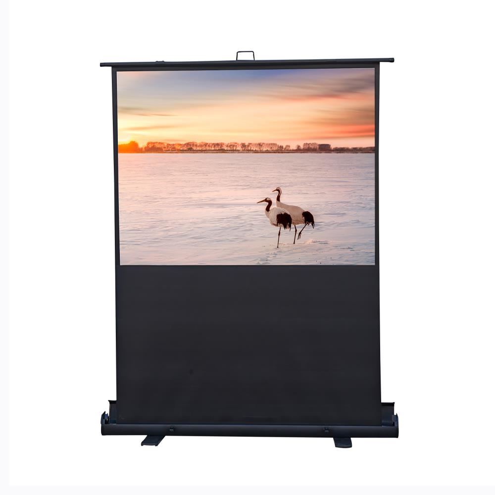 ProHT 05360 Inflatable-Movie-Screens - View #8