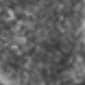 Weathered Nickel