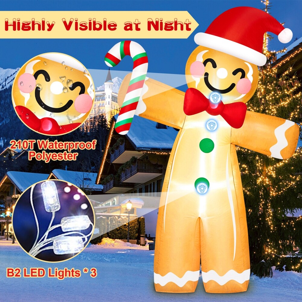Danxilu C-GINGER-003-8F  - View #2