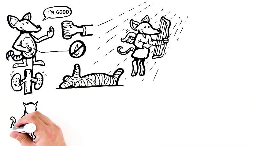 A thumbnail for the video