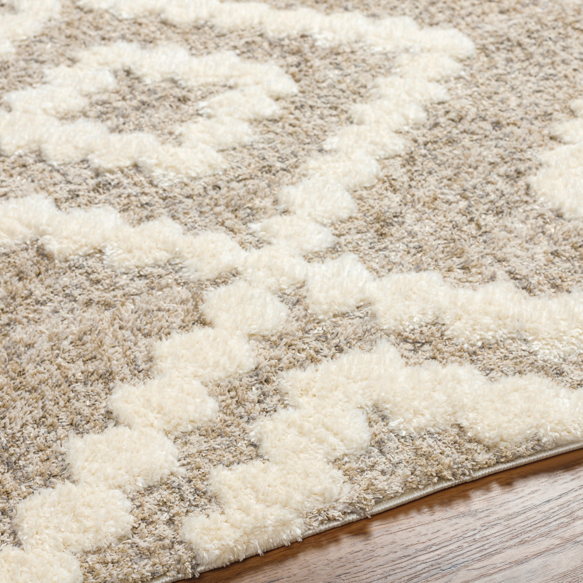 Livabliss FLD2303-679 rugs - View #4