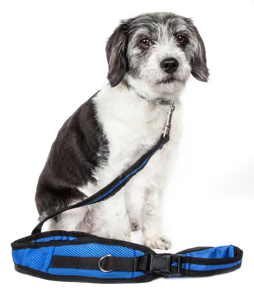 Doskocil Aspen PET 0327846 Pet Supplies Dog Leashes 