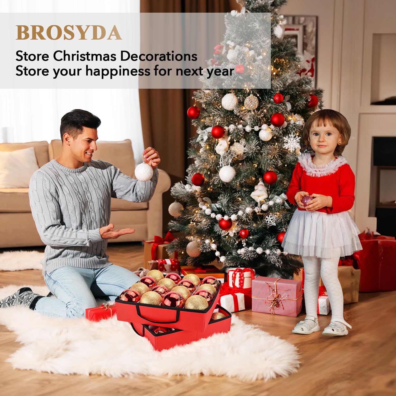 Aoibox LAB1217S02 Ornament-Storage - View #6