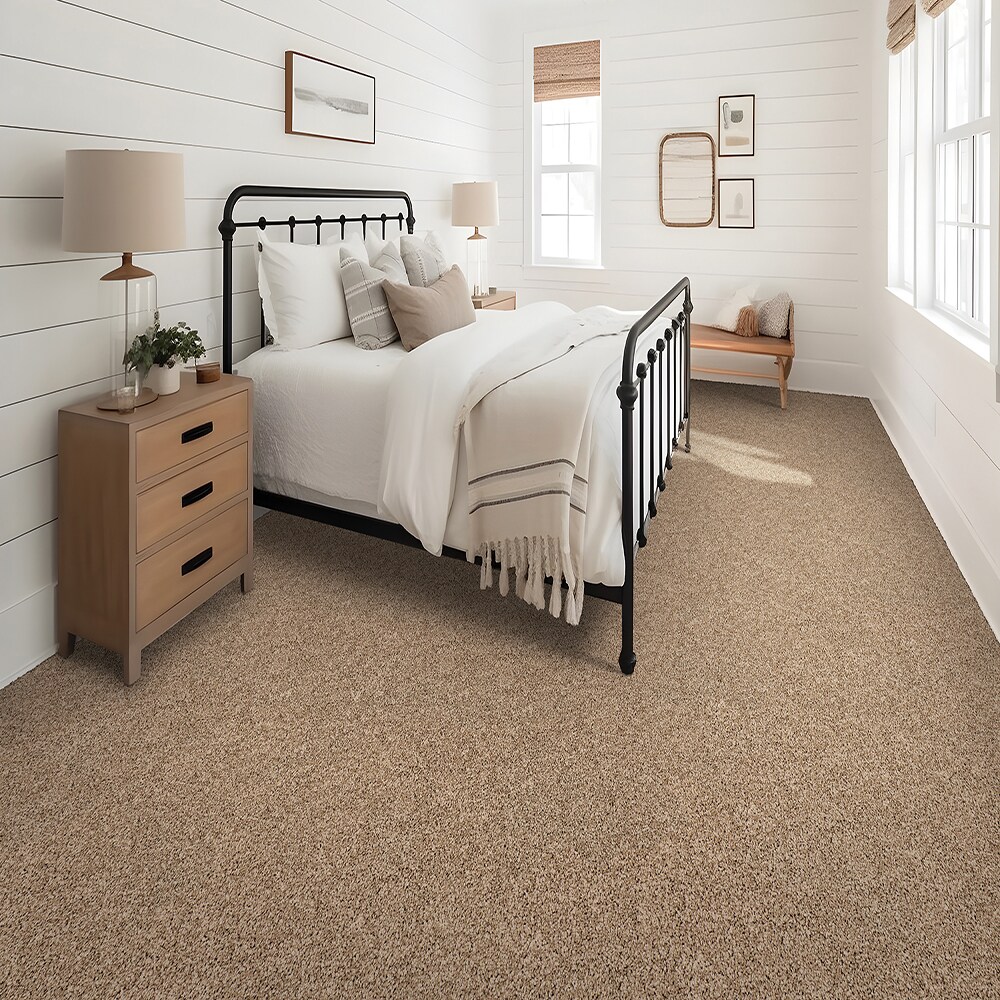 STAINMASTER SS011-L002-0808 Carpet-Samples - View #2