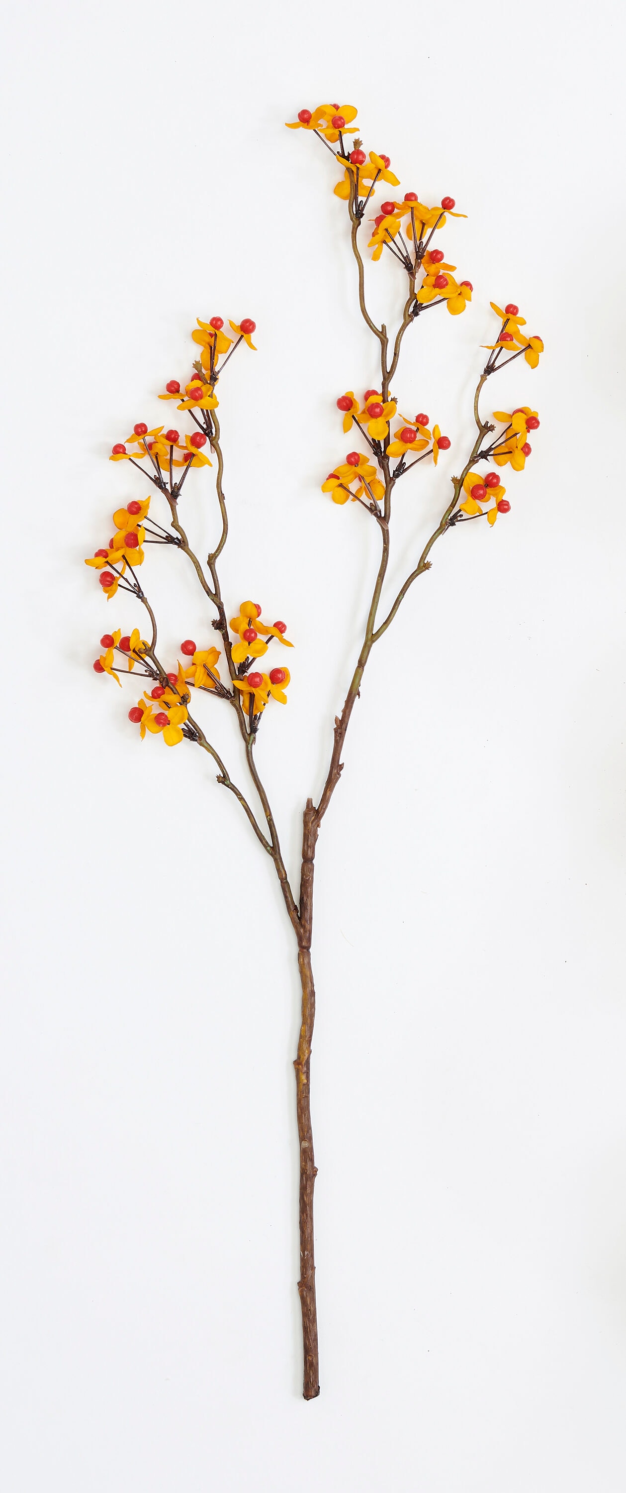 Fall Decor Theme/Design Fruit