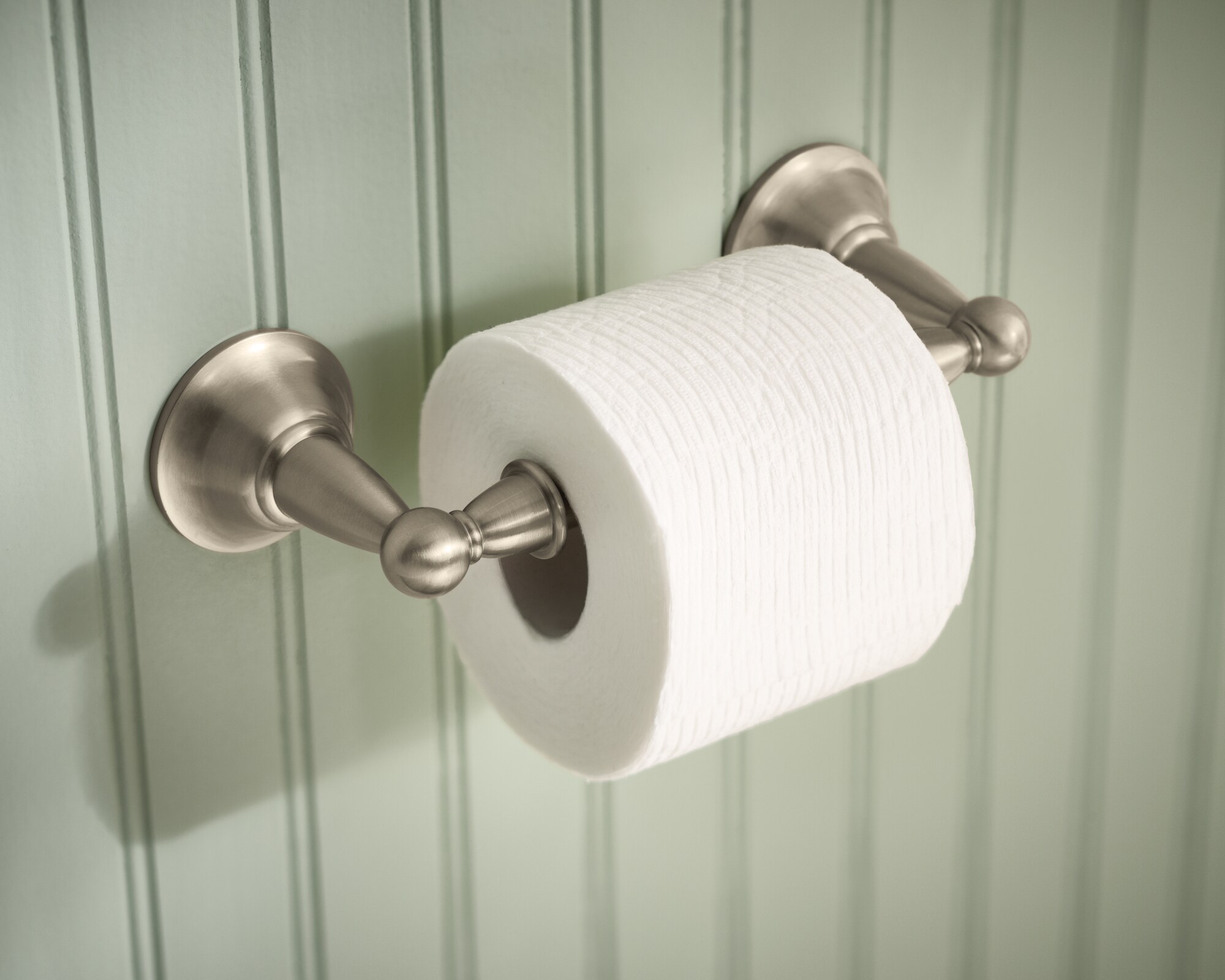 MOEN Sage Freestanding Toilet Paper Holder in Spot Resist Brushed Nickel  DN6850BN - The Home Depot