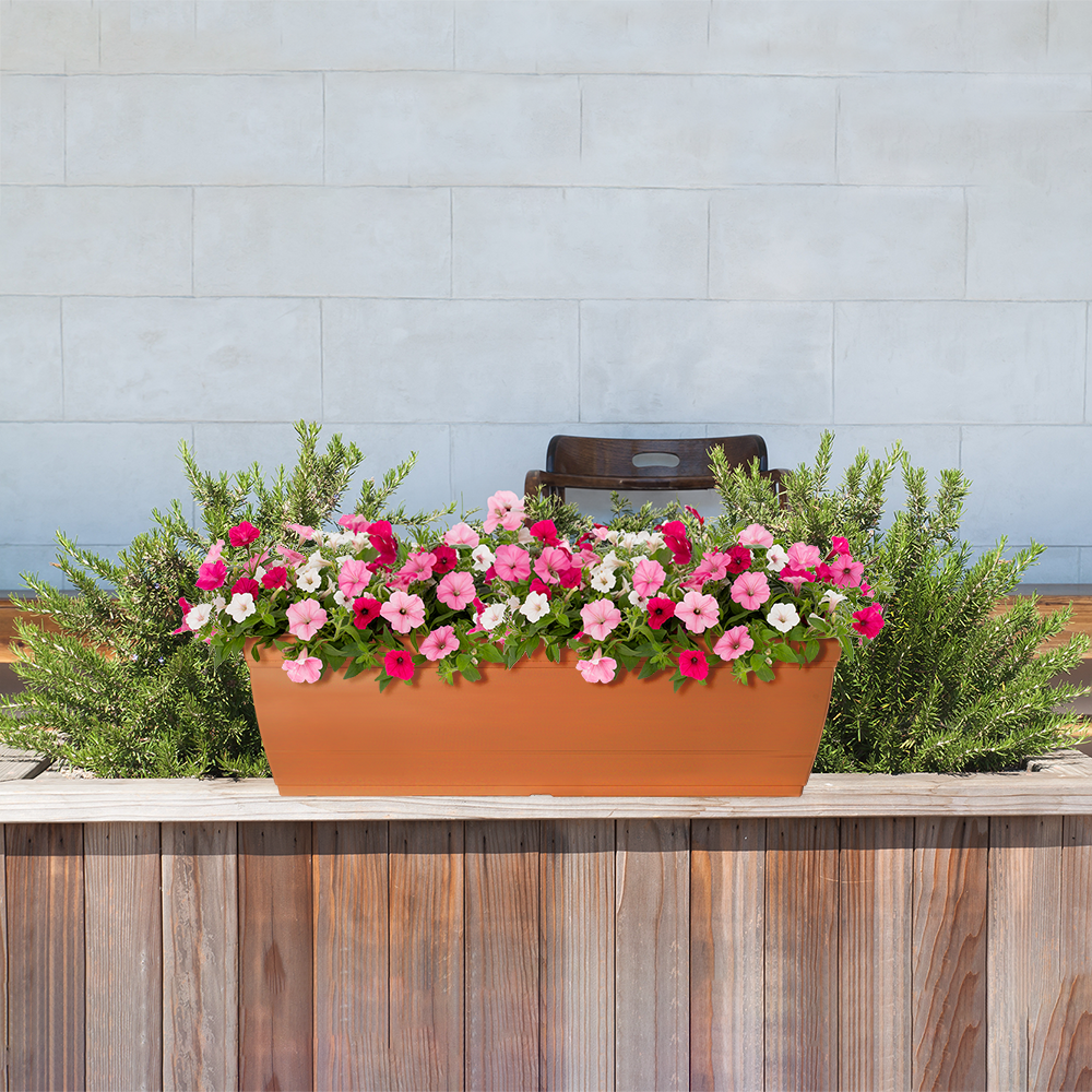 Style Selections WB2132G-CLAY Planter-Window-Box - View #4