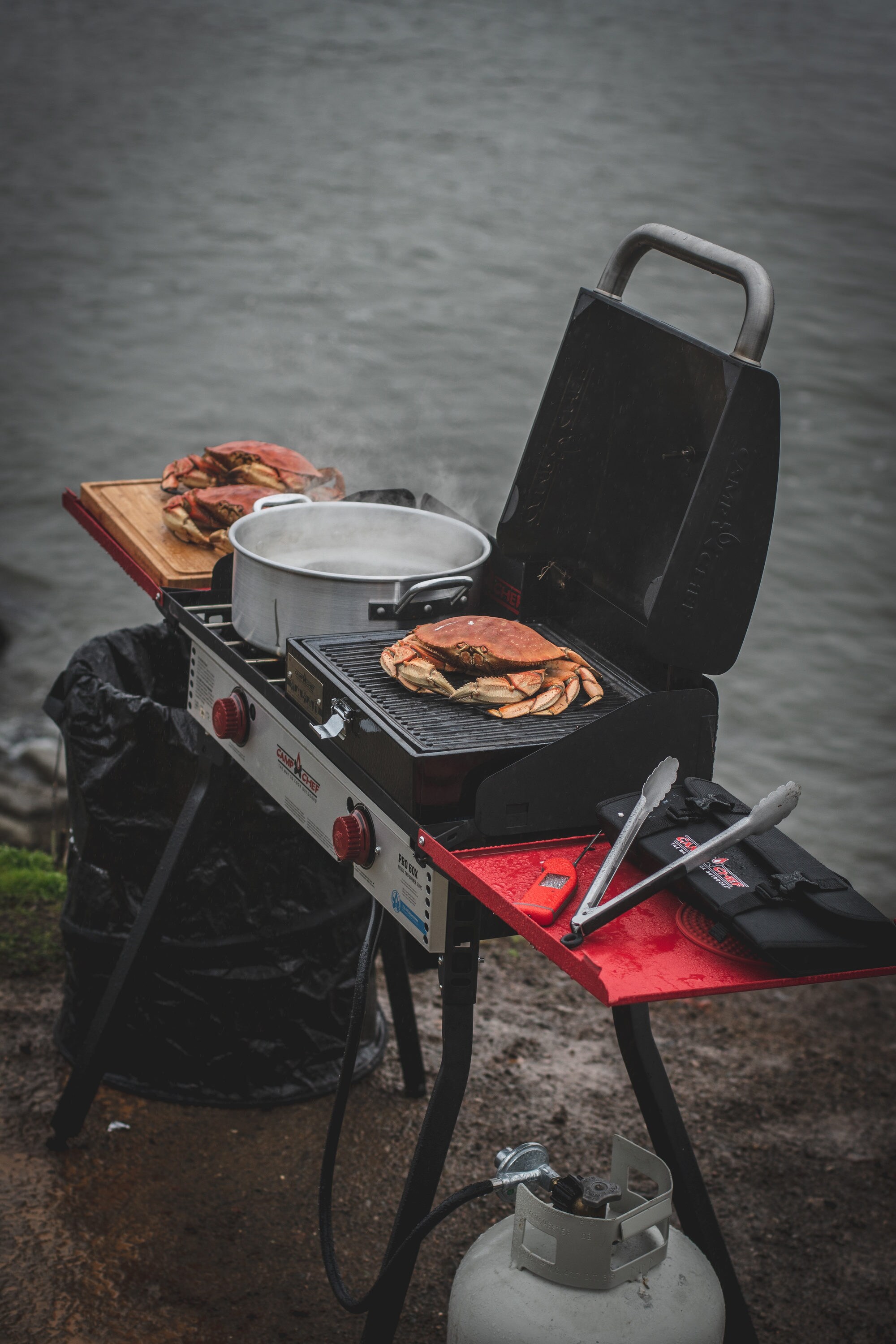 Camp Chef 5 Pack Stainless Steel Tool Set in the Grilling Tools