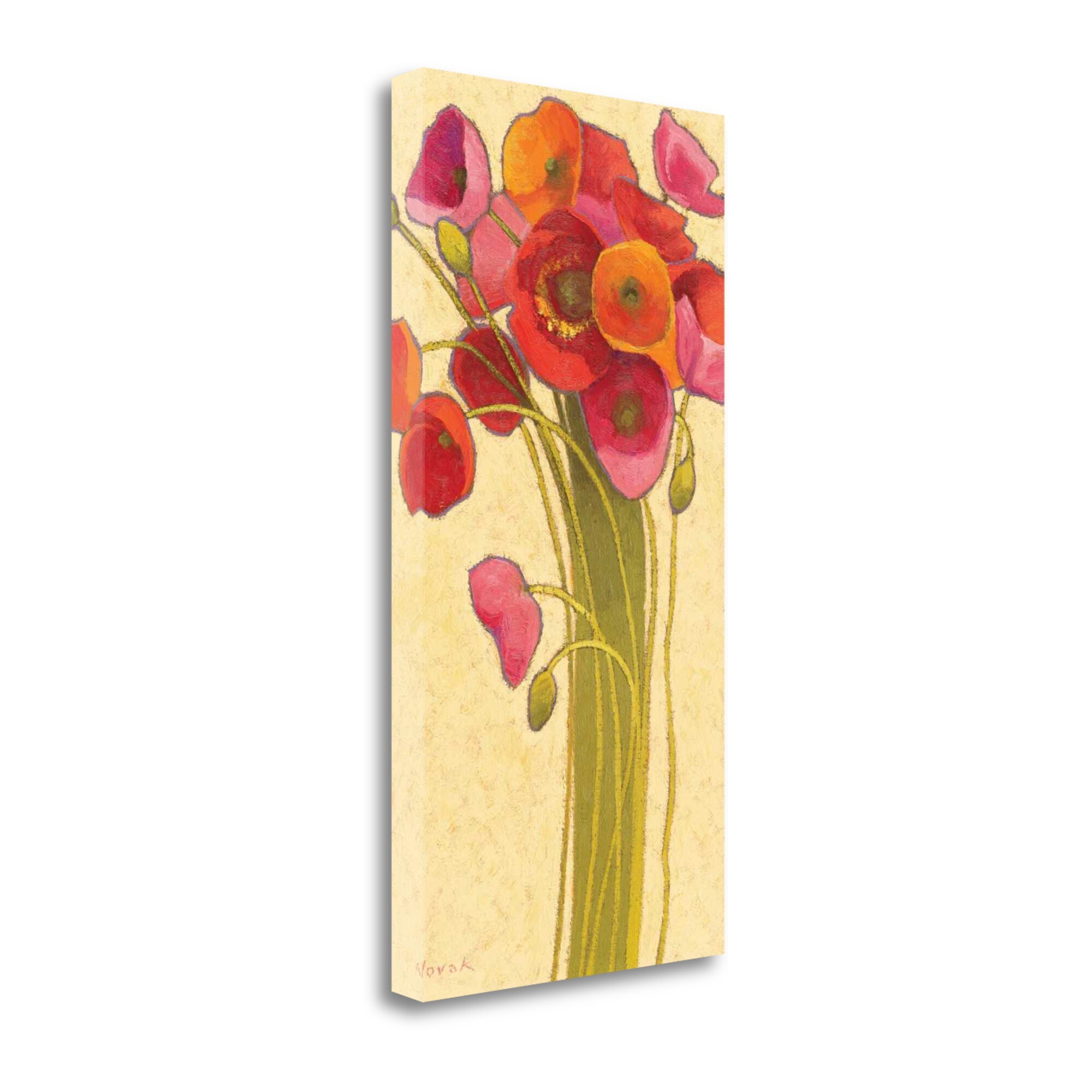 Tangletown Fine Art 34-in H x 17-in W Floral Print on Canvas in