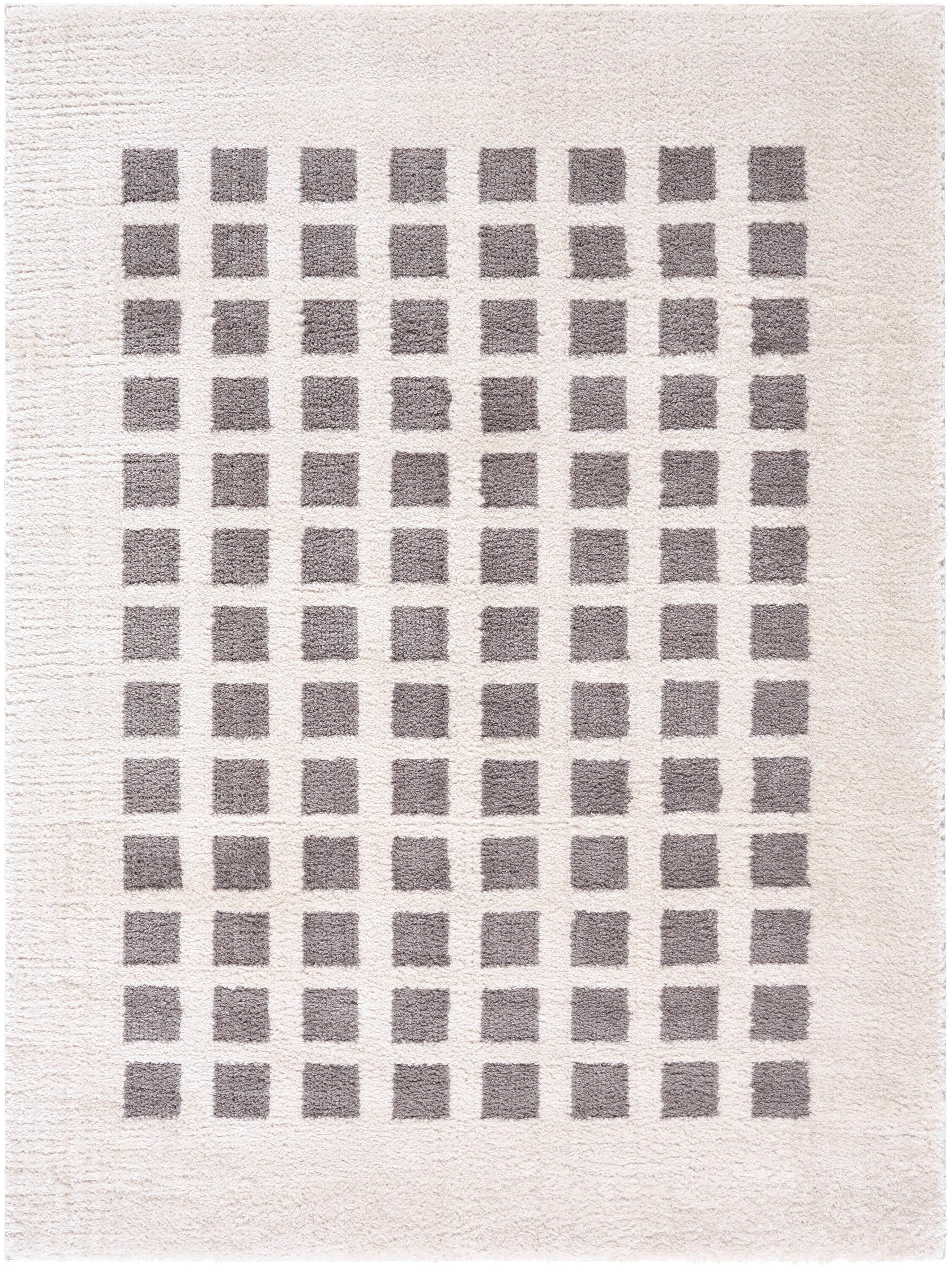 Livabliss FSG2321-679 Fossay Shag 6 x 9 (ft) Flatweave Polyester Light Beige/ Charcoal Rectangular Indoor Mid-Century Modern Machine washable Area rug