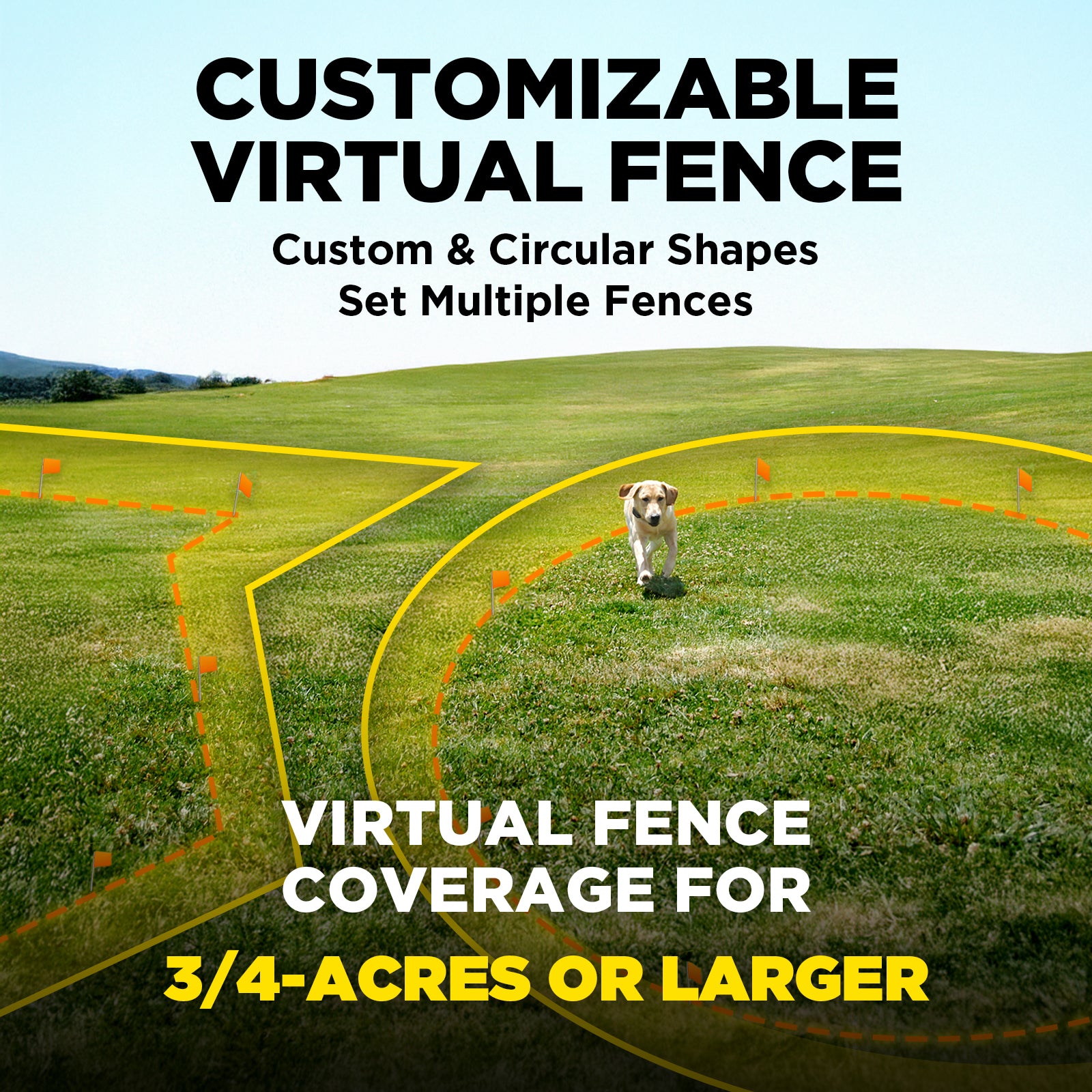 Dogtra 644622060075 Wireless-Pet-Fence - View #2