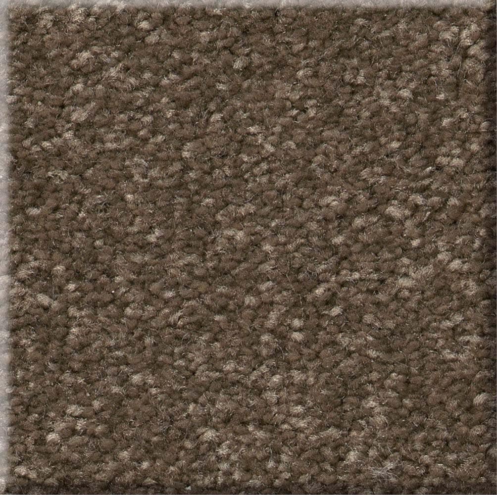 STAINMASTER 7L86100705 Best Intentions I 12-FT Mission Ridge Brown 39-oz sq yard Polyester Textured Indoor Carpet