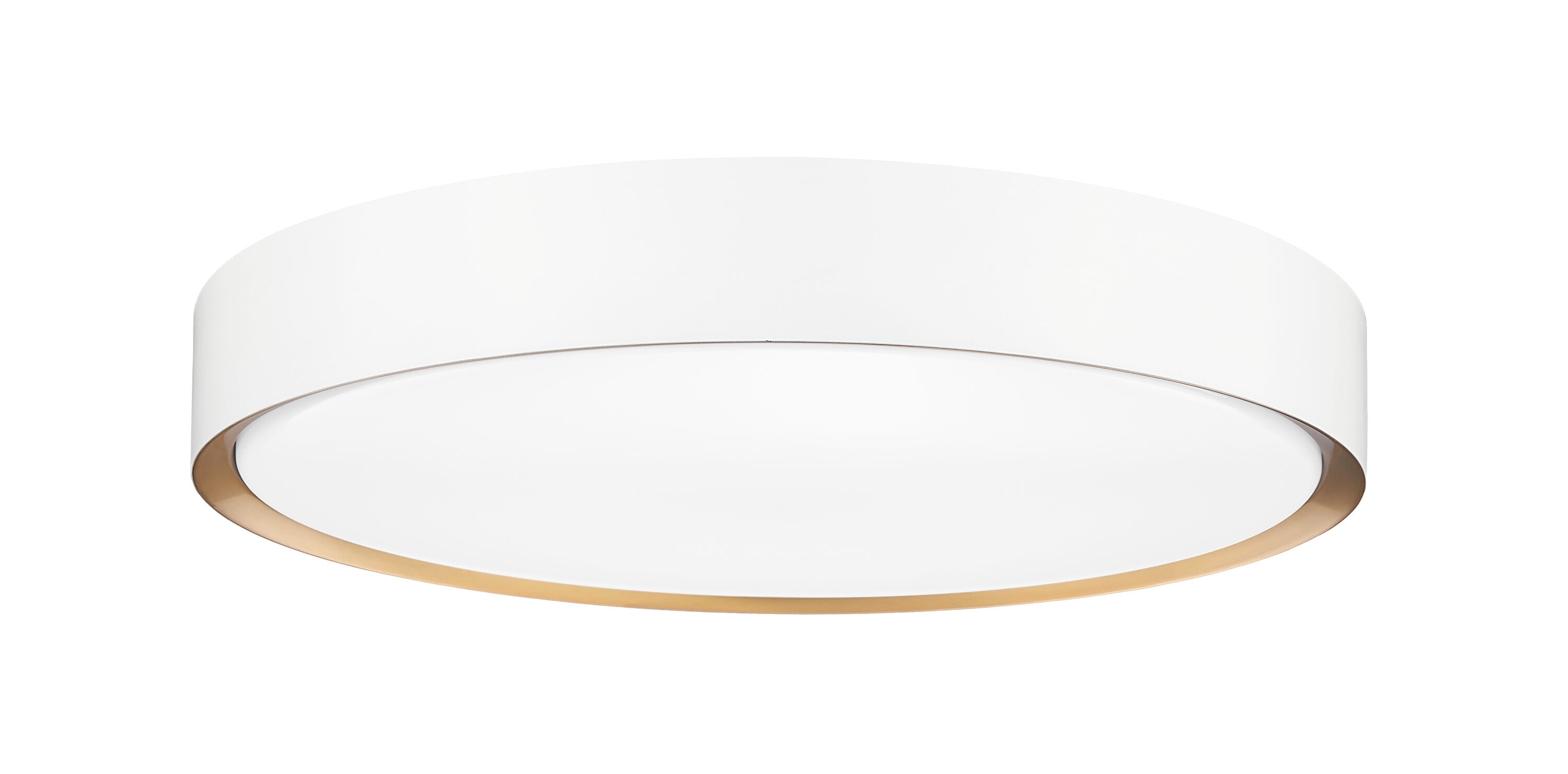Z-Lite 1014F20-MW-MGLD-LED flushmounts - View #7