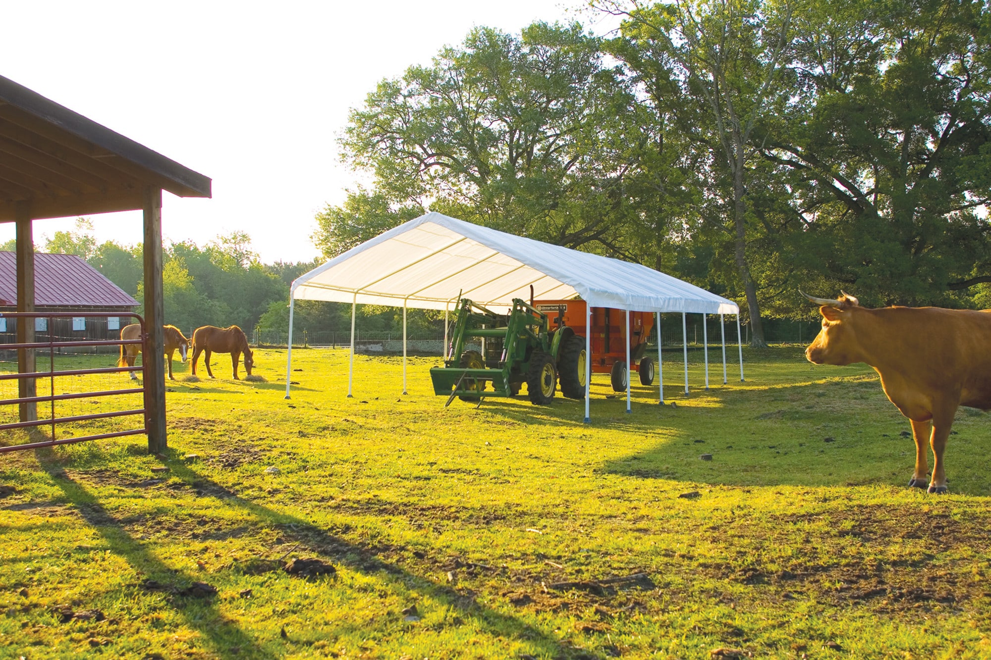 ShelterLogic 26764 Carport-Covers - View #8