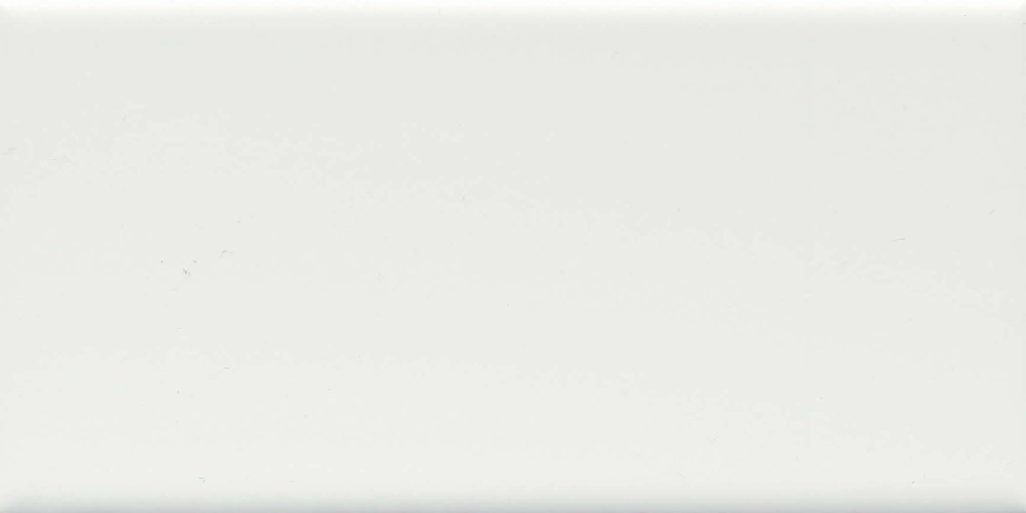 Emser F14CATCIC0306PV2 Catch Ice 3-in x 6-in Glossy Ceramic Subway Wall Tile (16.592-sq. ft/ Carton)