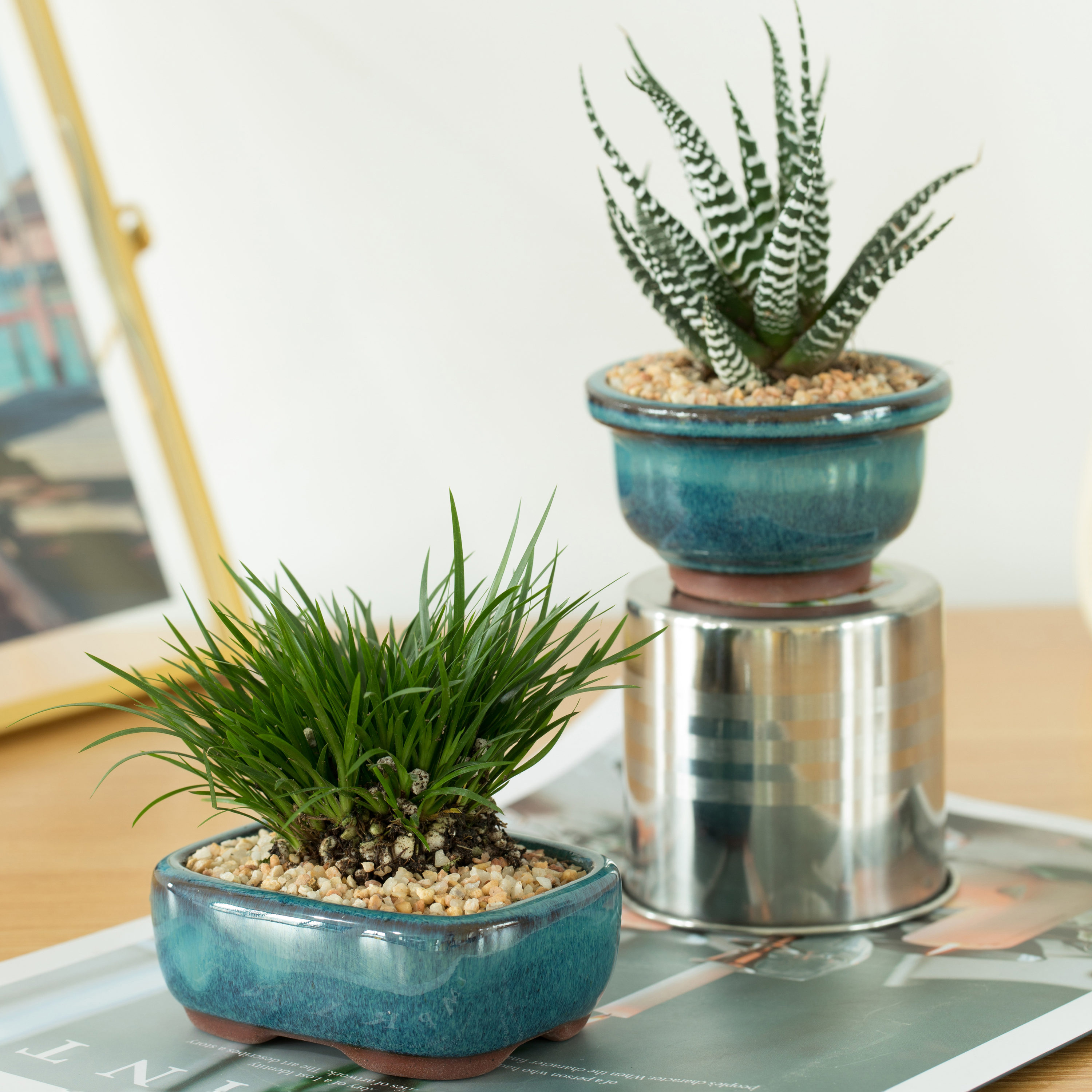 Gardenised QI004100 Planter-Window-Box - View #14