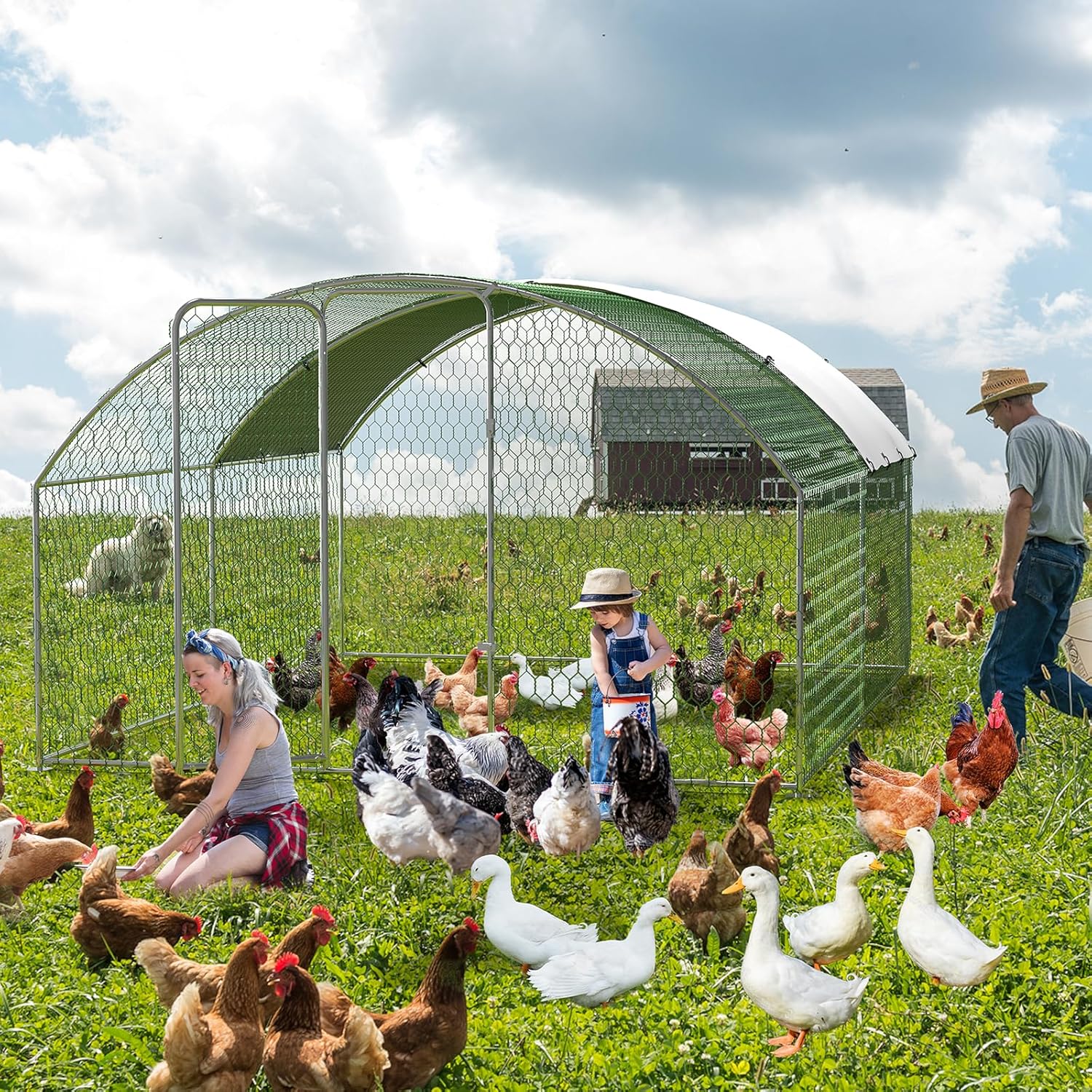 Qeetex GGL-PHO-33J6K8GY Chicken-Coops-Rabbit-Hutches - View #2