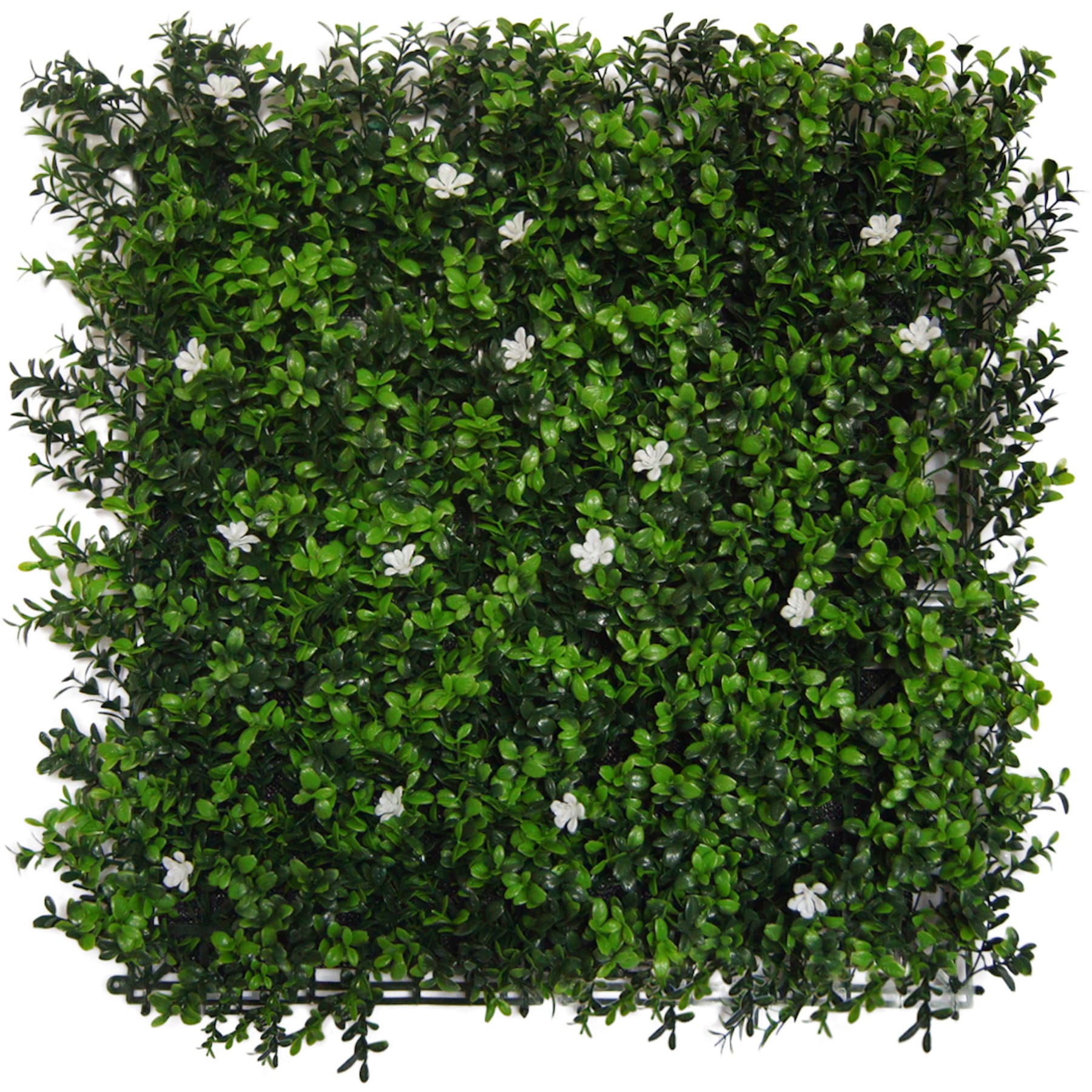 Greensmart Dekor MZ-6042 19.68-Inches W x 2-Inches H Plastic Nature Wall accent