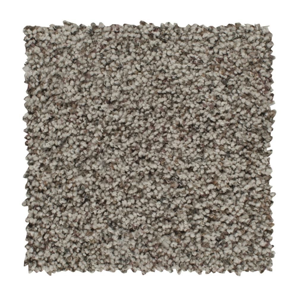 STAINMASTER S1077776CHARMIN-2908 (Sample) Essentials Soft Step I Charming Textured Carpet