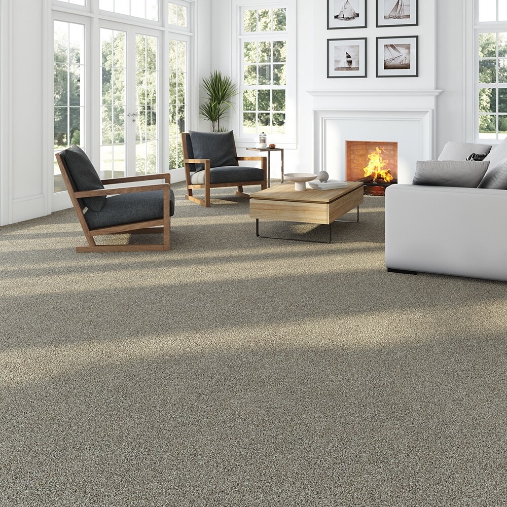 STAINMASTER STP51-15-L008 Carpet-Panel - View #3
