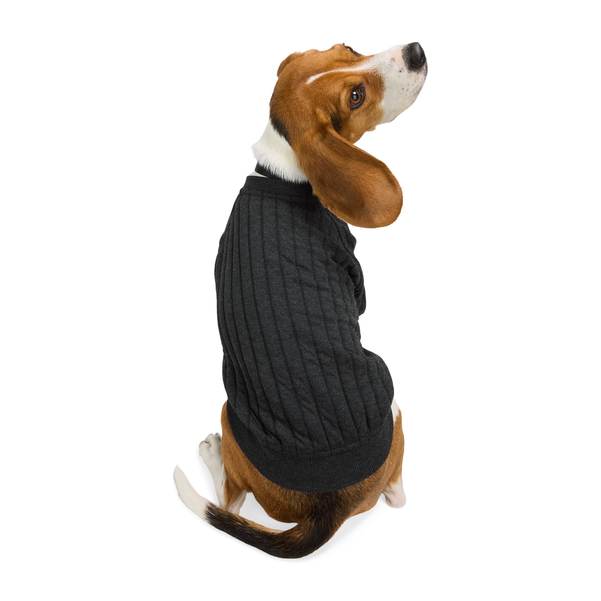 Reddy 23P515B-L Dog-Clothing-Acc - View #2
