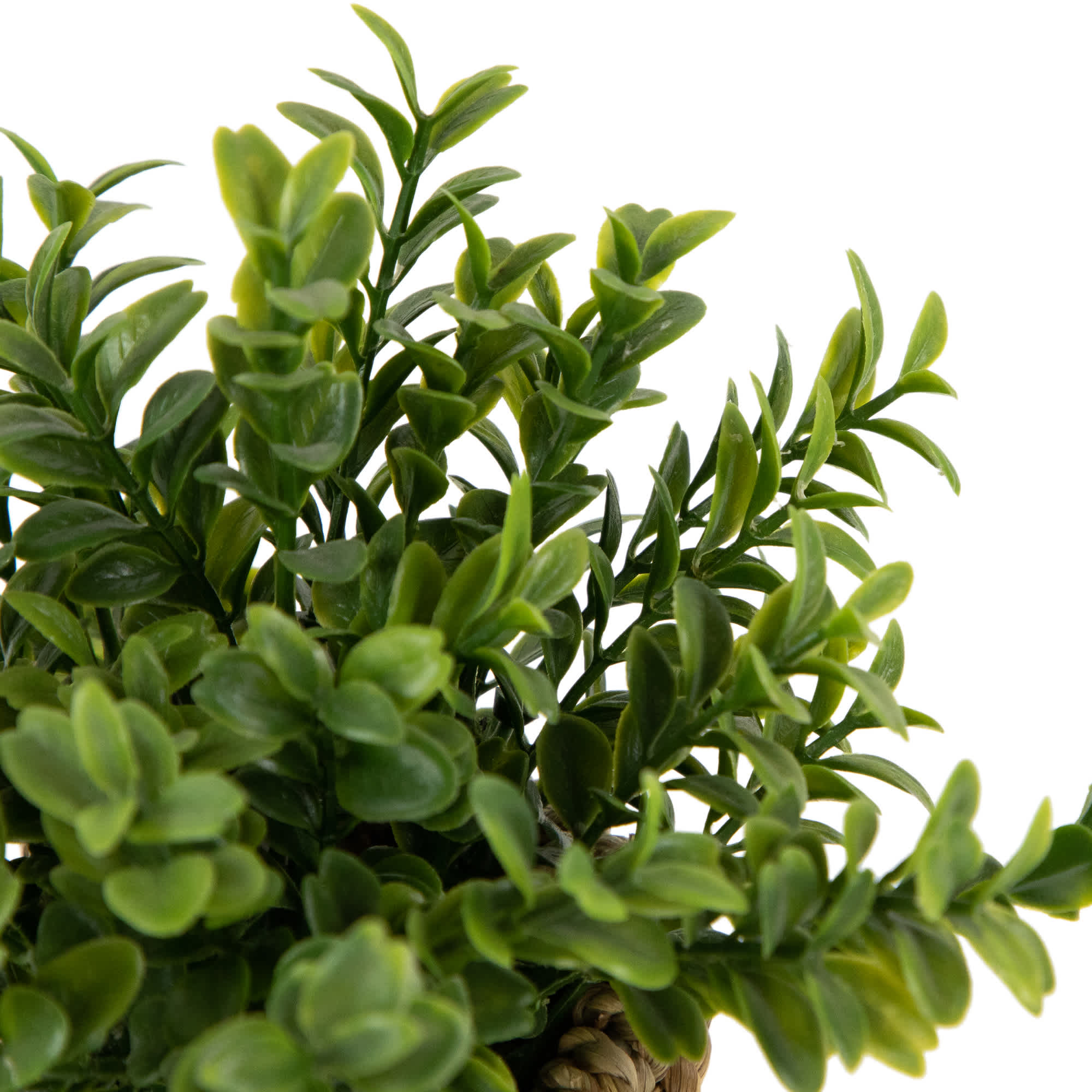 Northlight NORTHLIGHT HF94678 Artificial-Plants-Trees - View #7