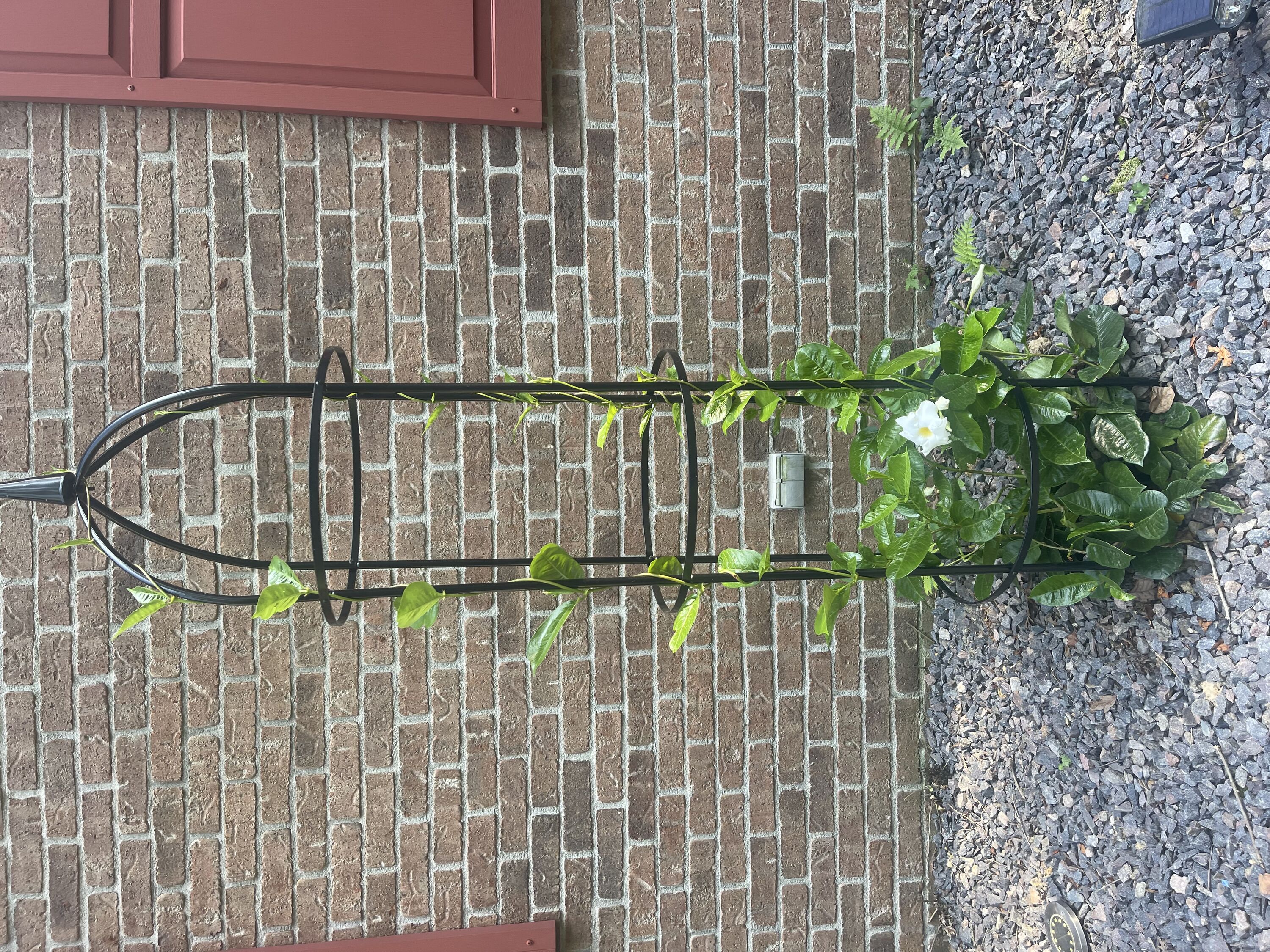  60-0190 Garden-Trellis - View #3