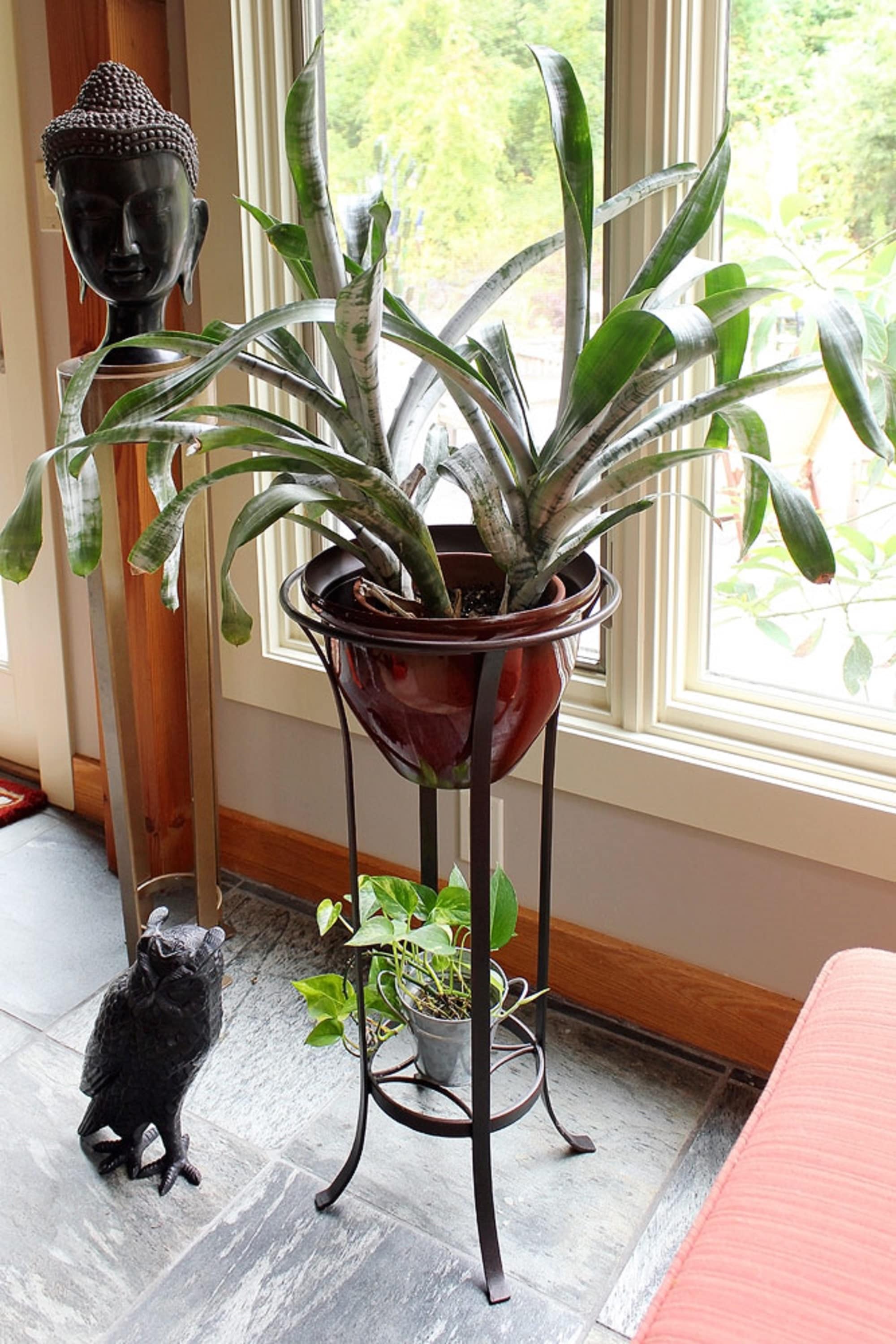 ACHLA Designs FB-19 Plant-Stand - View #7