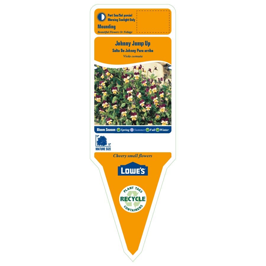 Lowe's NURSERY perennials - View #2