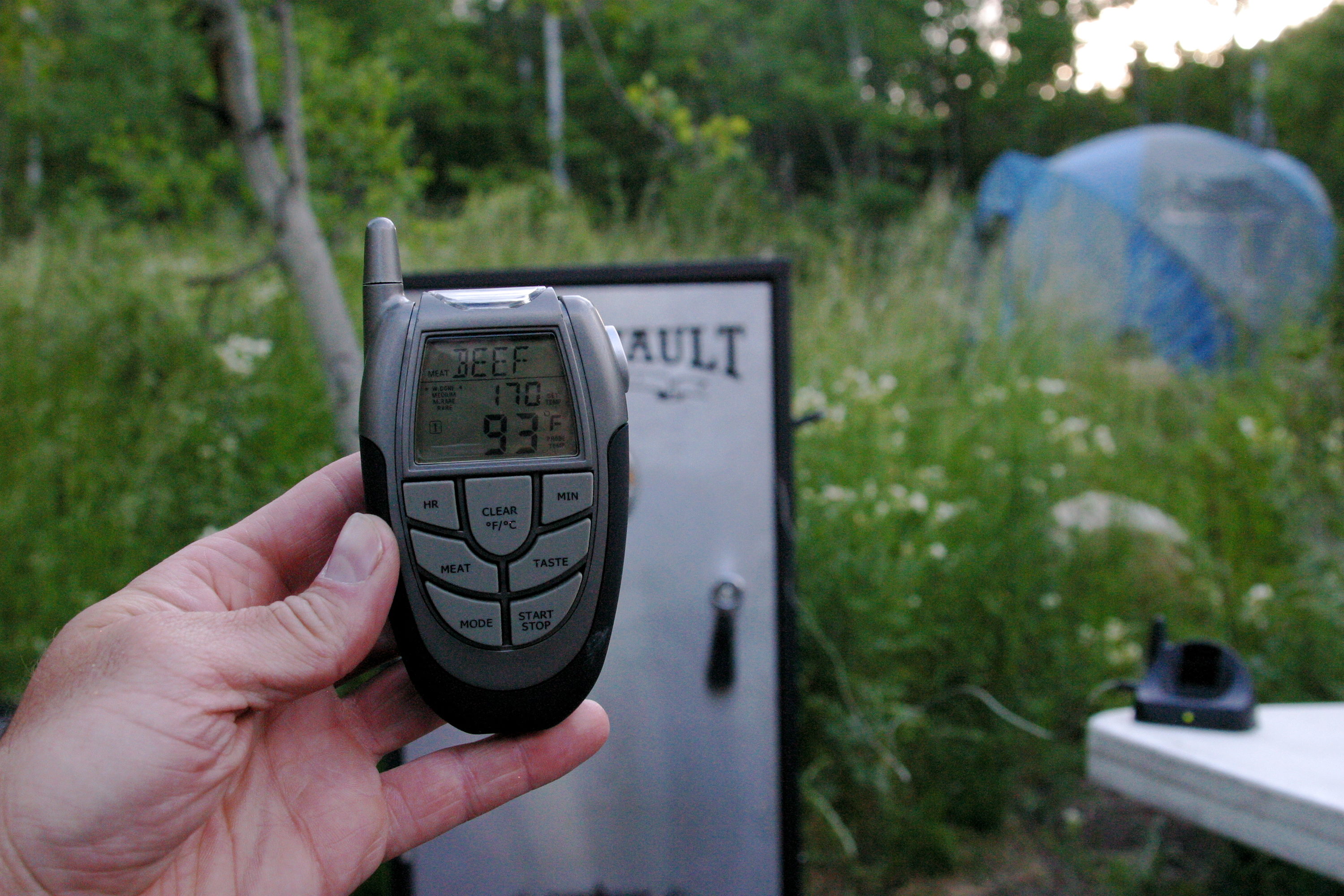 Mr. Bar-B-Q Remote Digital Thermometer