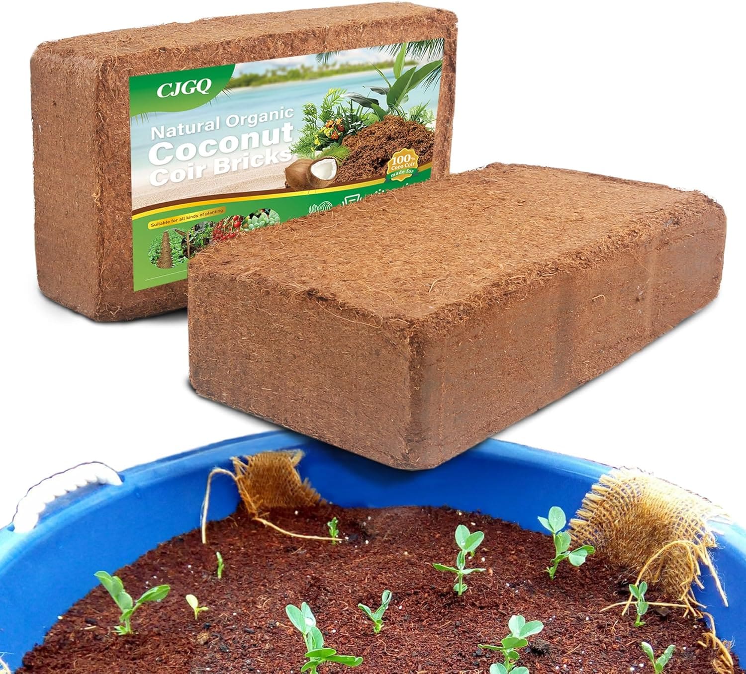 CJGQ - 2 Pack Organic Coco Coir Brick for Plants 100 percentage Natural Compressed Coconut Coir F...
