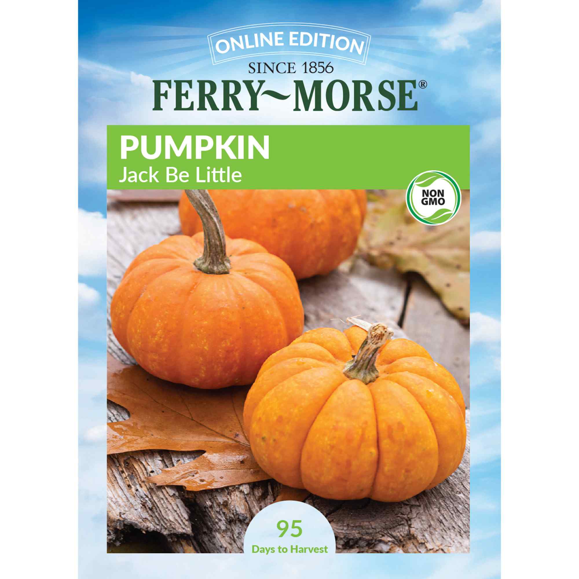 Ferry-Morse LC25.1756 Pumpkin Seeds 3.5 Gram(s)