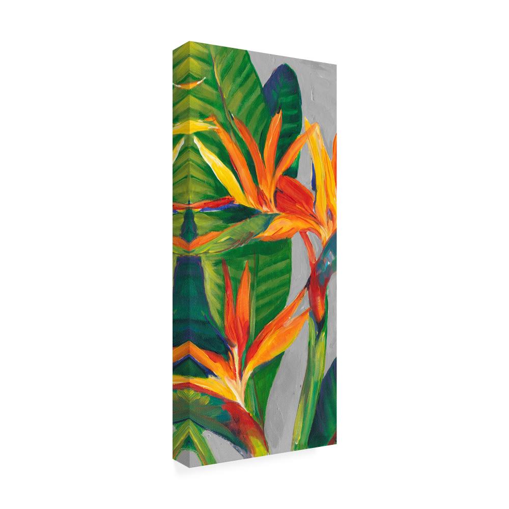 Trademark Fine Art Framed 24-in H x 10-in W Floral Print on Canvas in ...