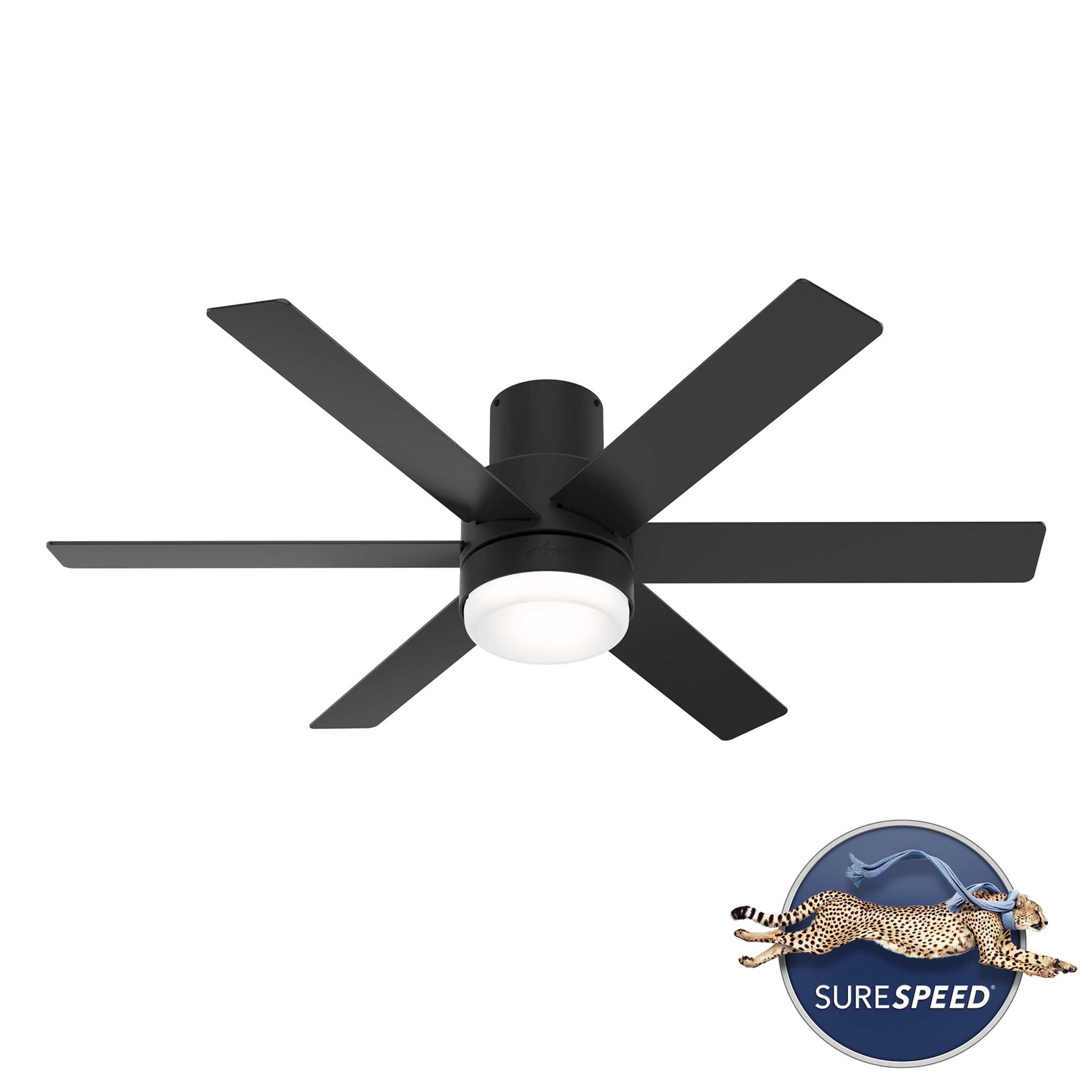 Hunter 51275 Ceiling-Fans - View #3
