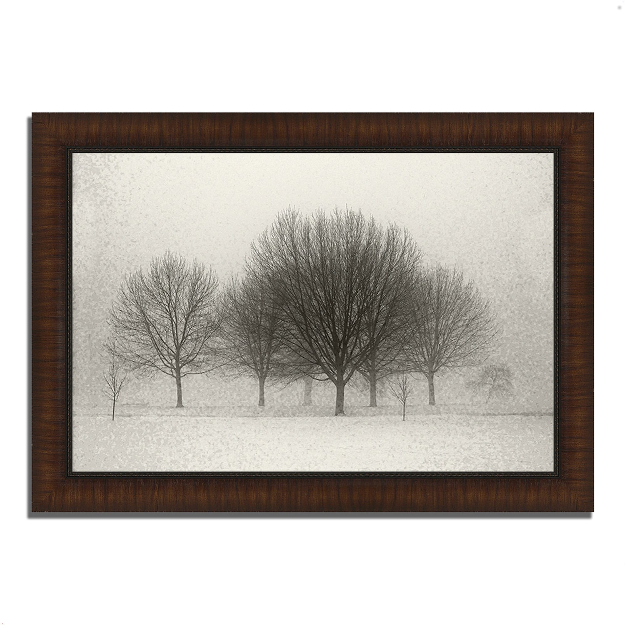 Tangletown Fine Art Brown Wood Framed 36-in H x 51-in W Landscape Paper ...