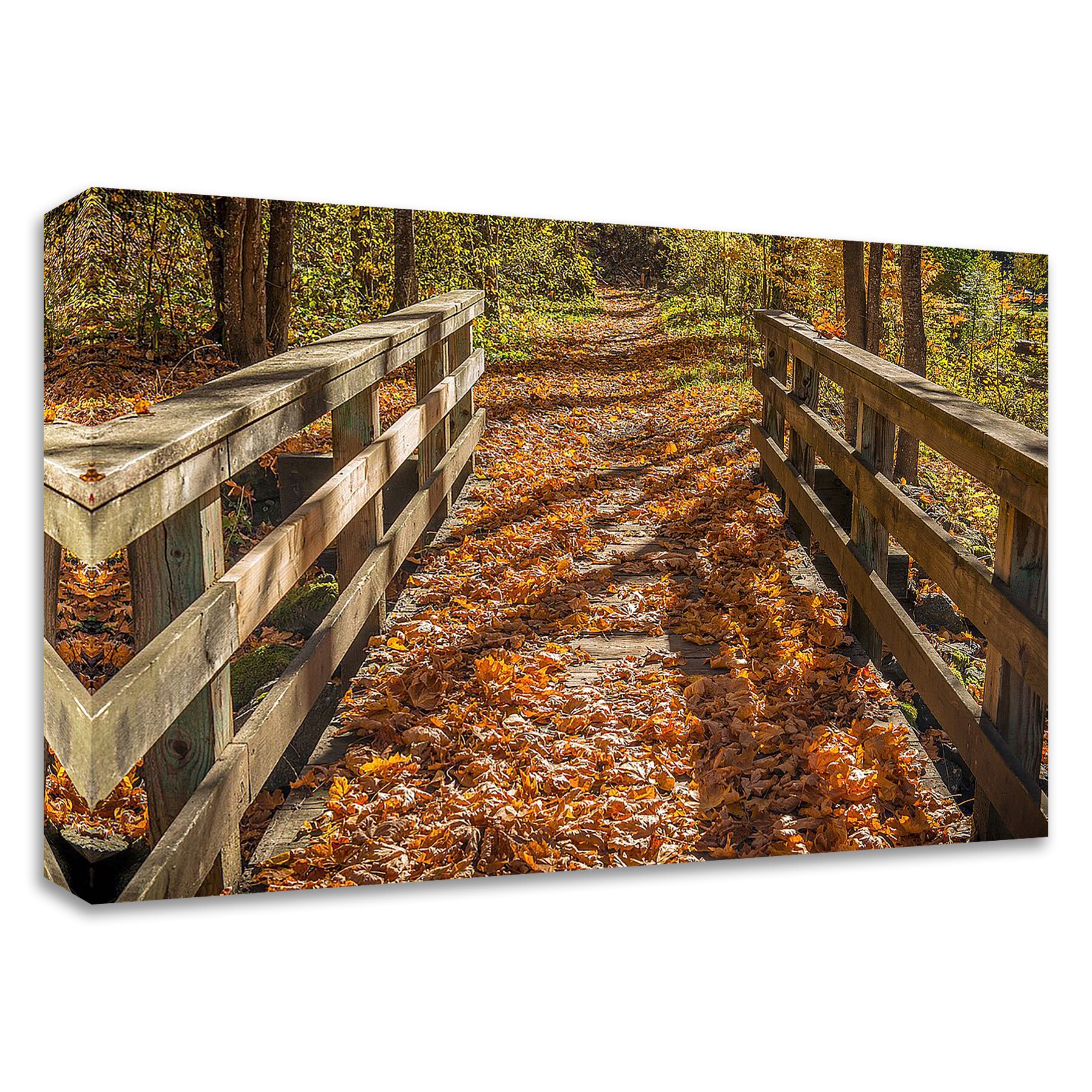 Tangletown Fine Art 8O305DC-3624 Fall On The Footbridge Tim Oldford 24-in H x 36-in W Landscape Print on Canvas