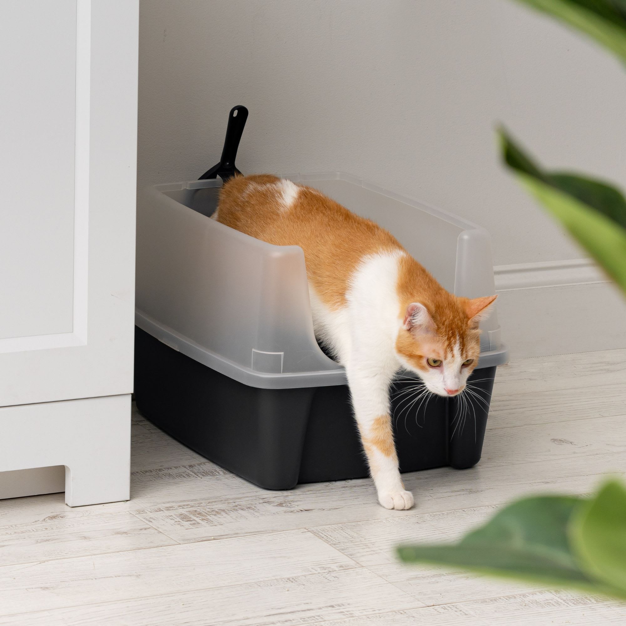 IRIS USA 418617 Cat-Litter-Box - View #5