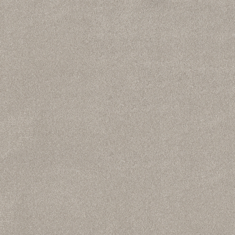 STAINMASTER PetProtect 7L937-121-SAMP (Sample) 8-in x 8-in with LeakDefense Terrific Tails I Beige Mist Brown 49-oz sq yard High-performance polyester Textured Indoor Carpet