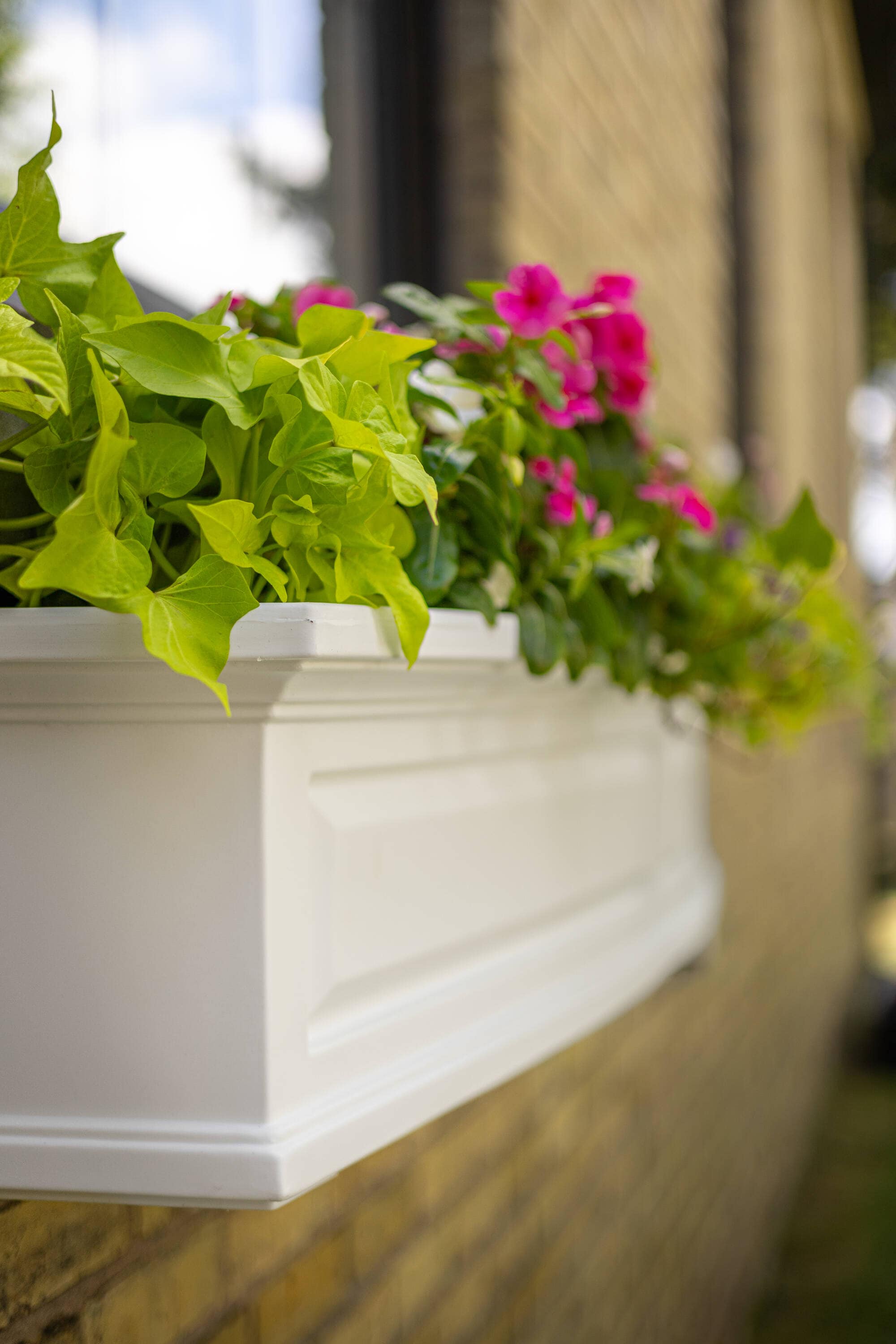 Mayne 4830-W Planter-Window-Box - View #12